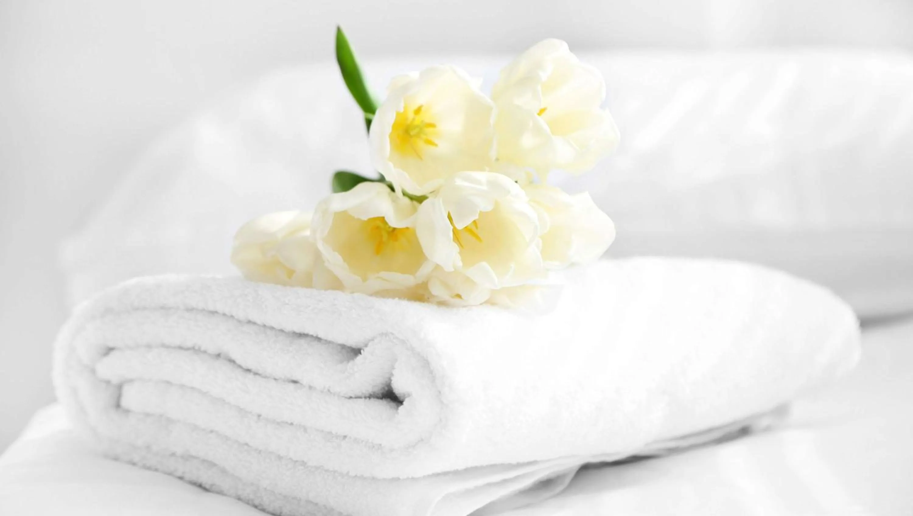 Bedroom, Bed in Anchorage Inn Lakeport