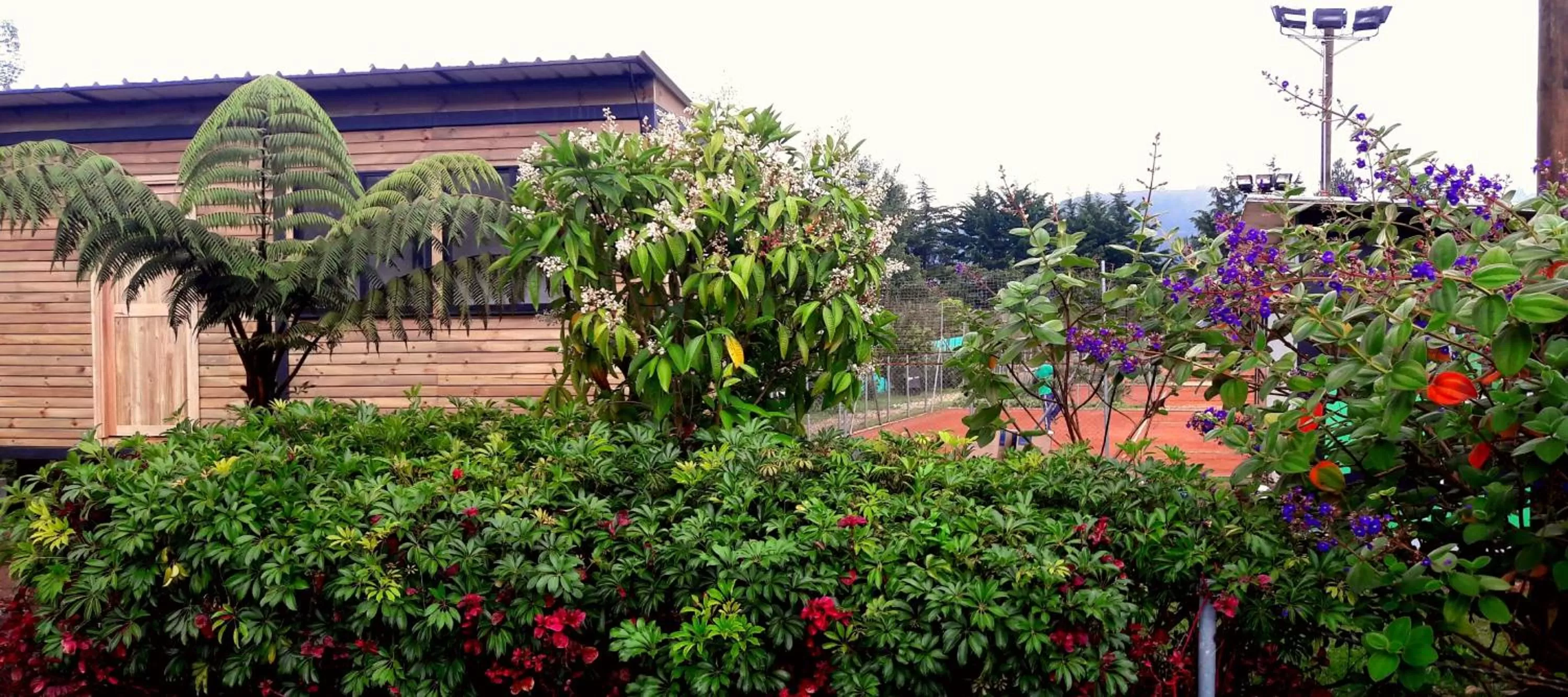 Garden, Property Building in ALTO LODGING Centro de Entrenamiento Deportivo y Negocios, a 2 pasos del Aeropuerto JMC, Transporte Incluido