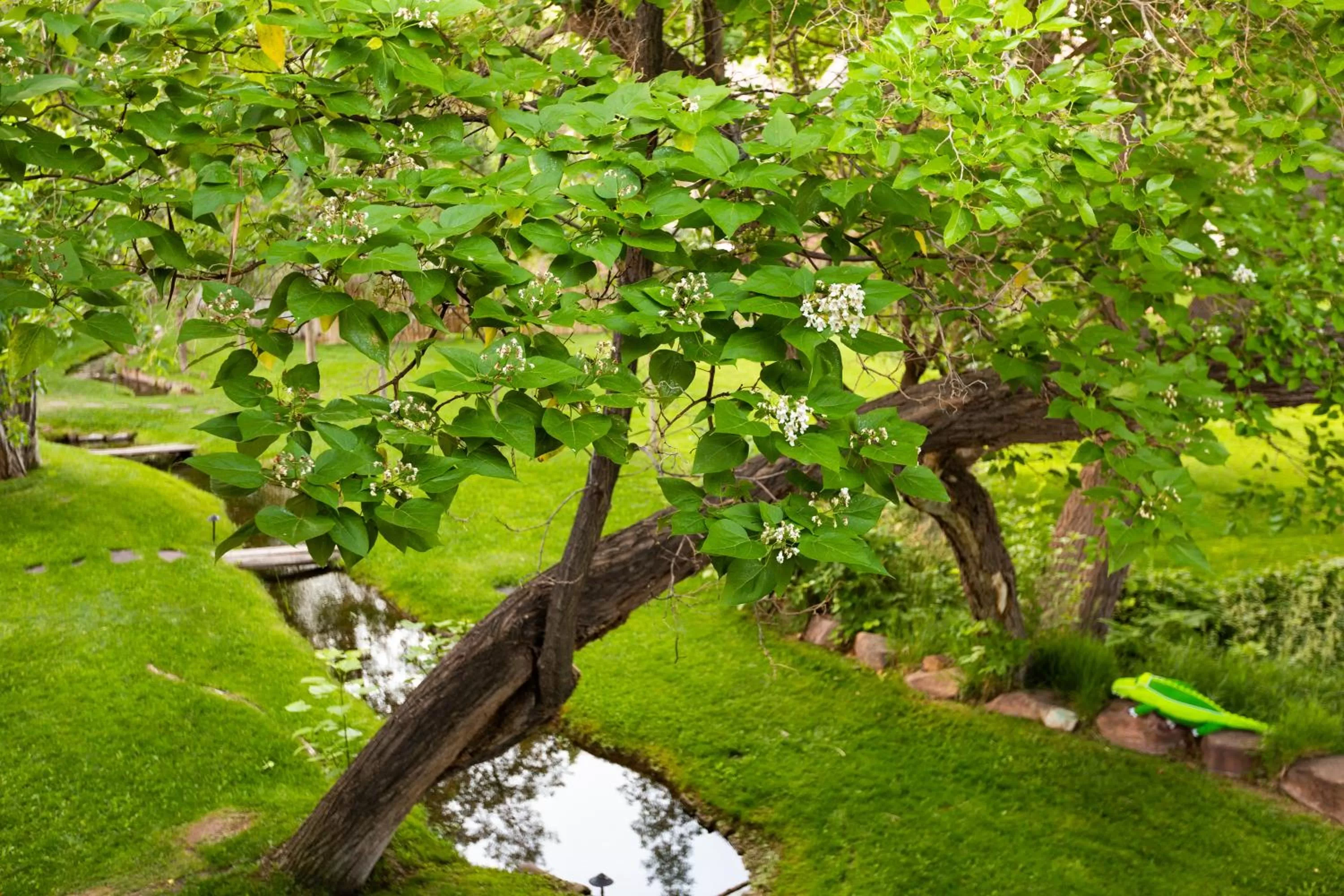 Garden in Moab Springs Ranch