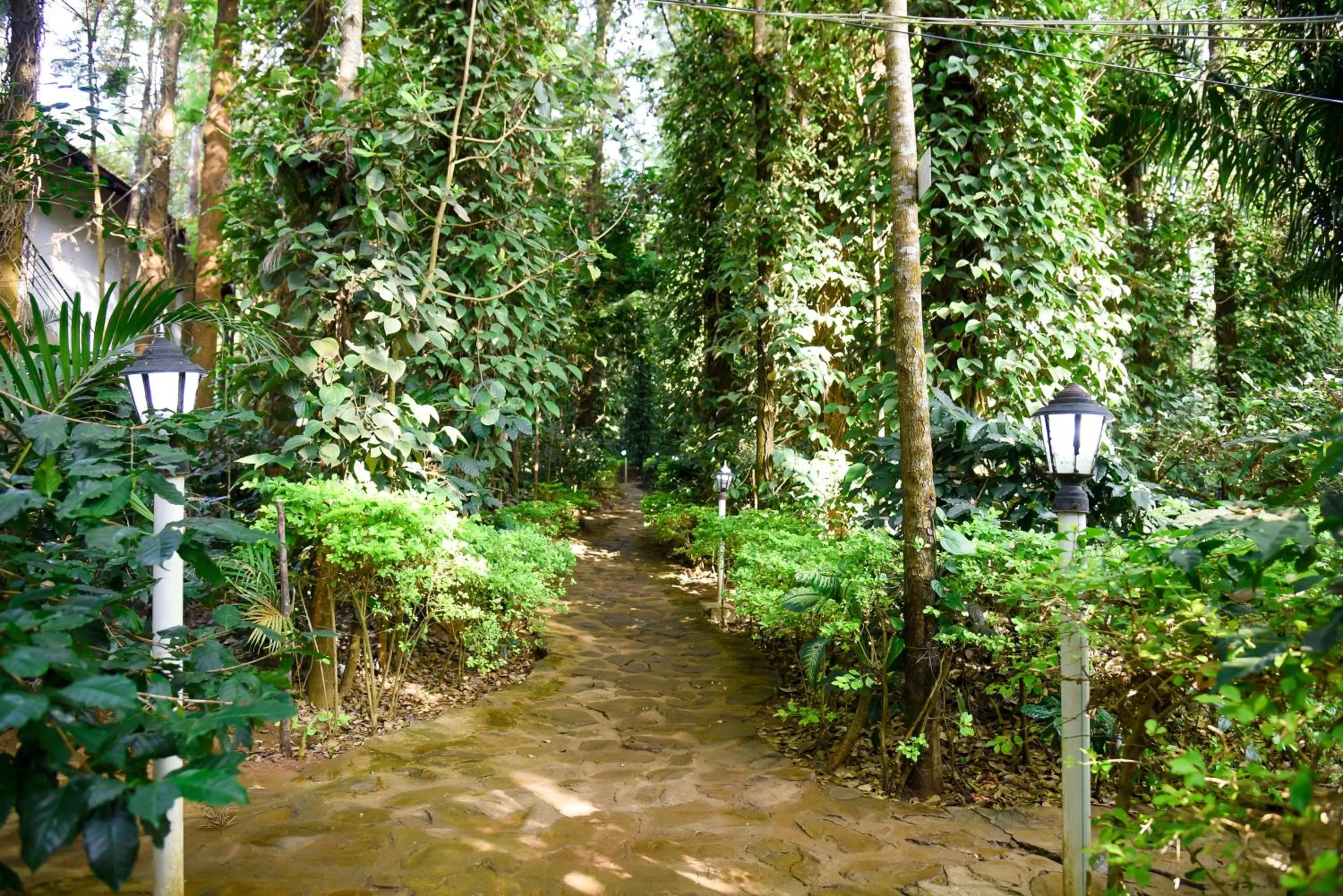 Garden in The Spectrum Resort - Chikmagalur