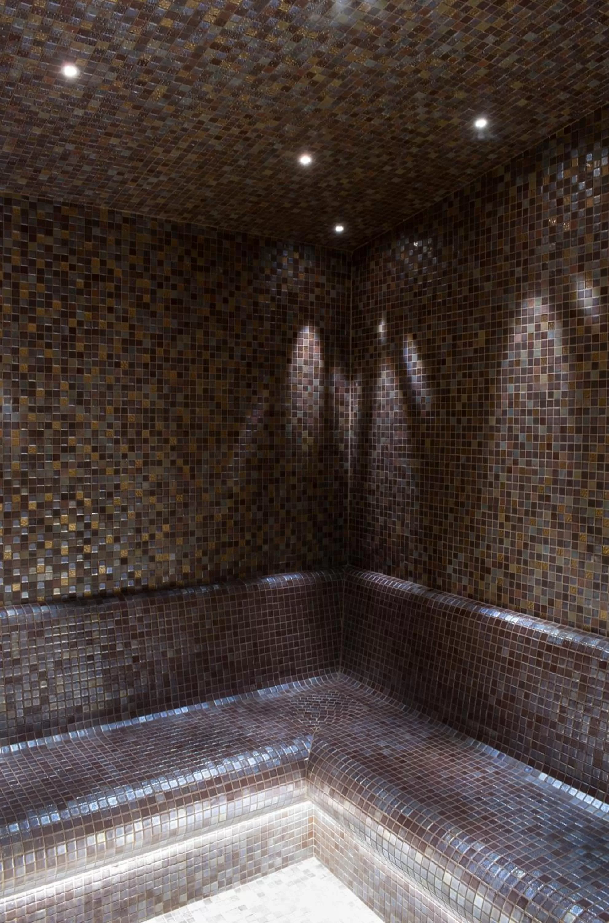 Spa and wellness centre/facilities in Inn at the Forks