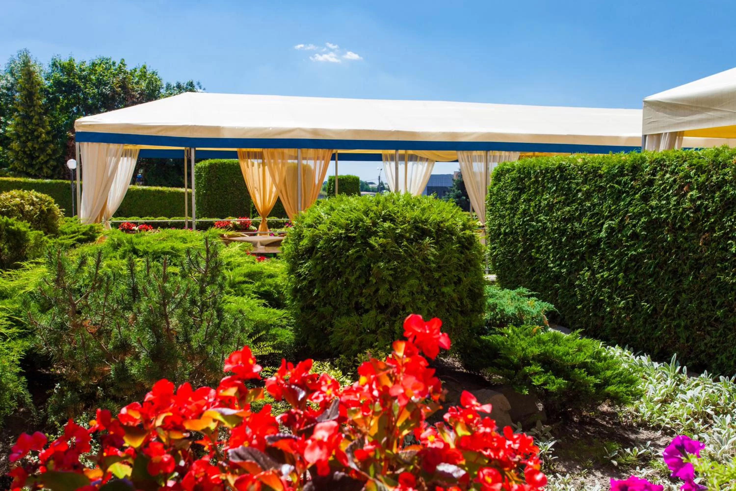 Balcony/Terrace in Conference Hotel Suputnyk