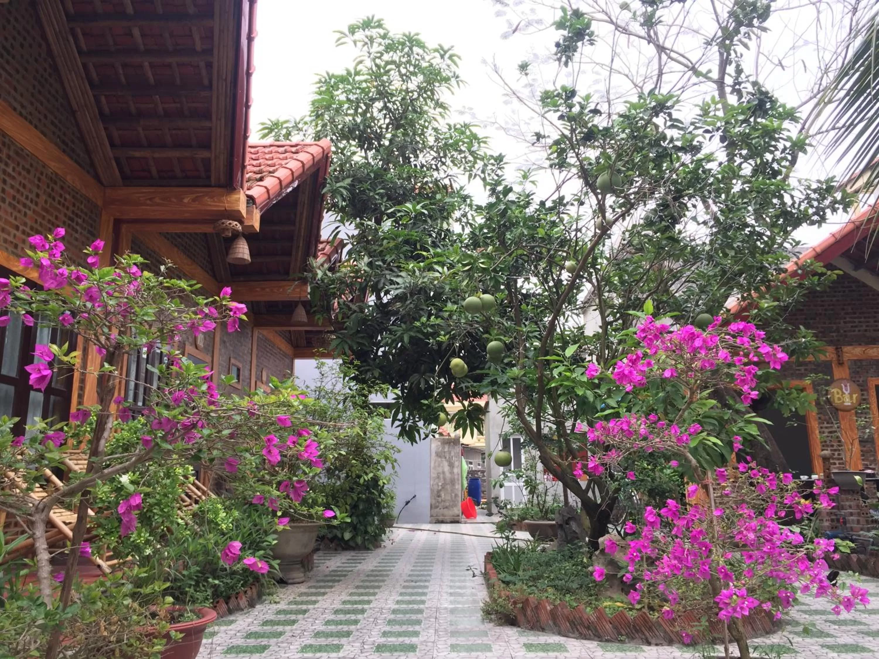 Day in Tam Coc Vinh Thinh Homestay