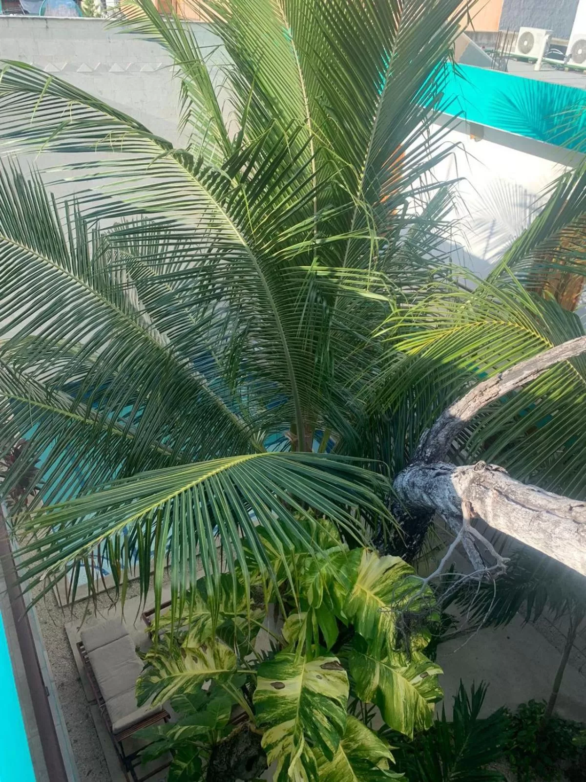 Property building in Los Arcos Hotel - TULUM