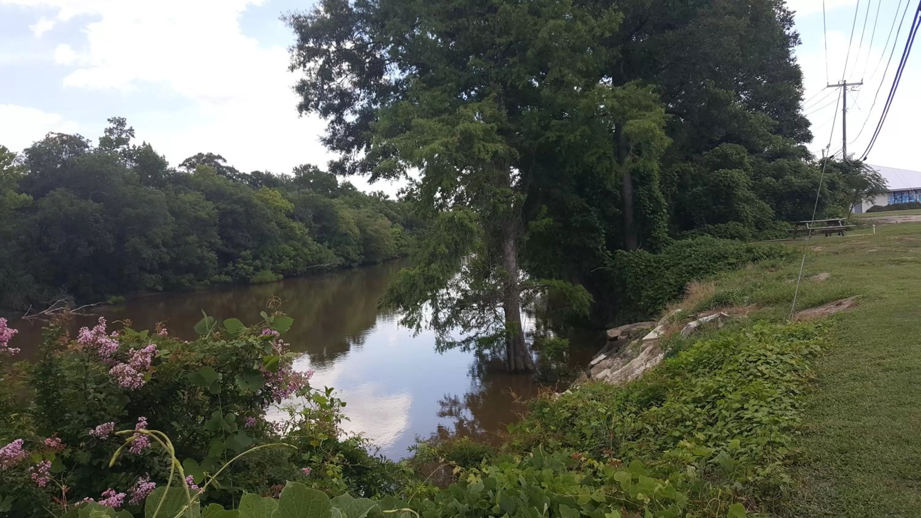 Natural landscape in Red Carpet Inn Kinston