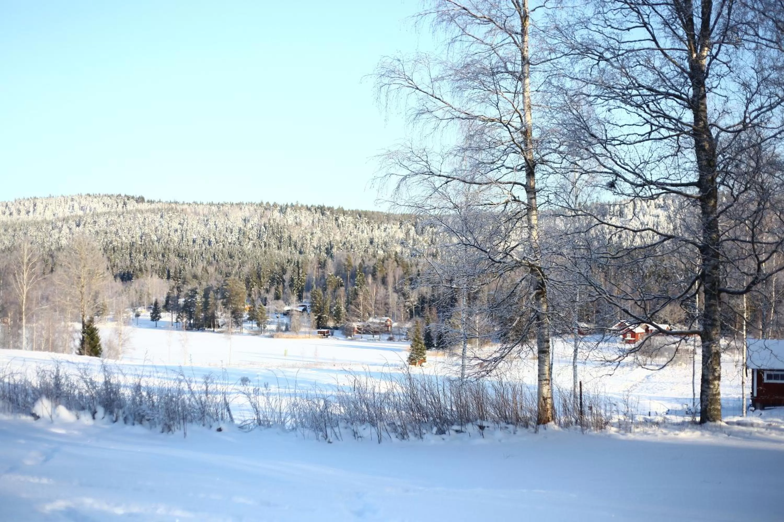 Winter in Nyhyttans Kurort