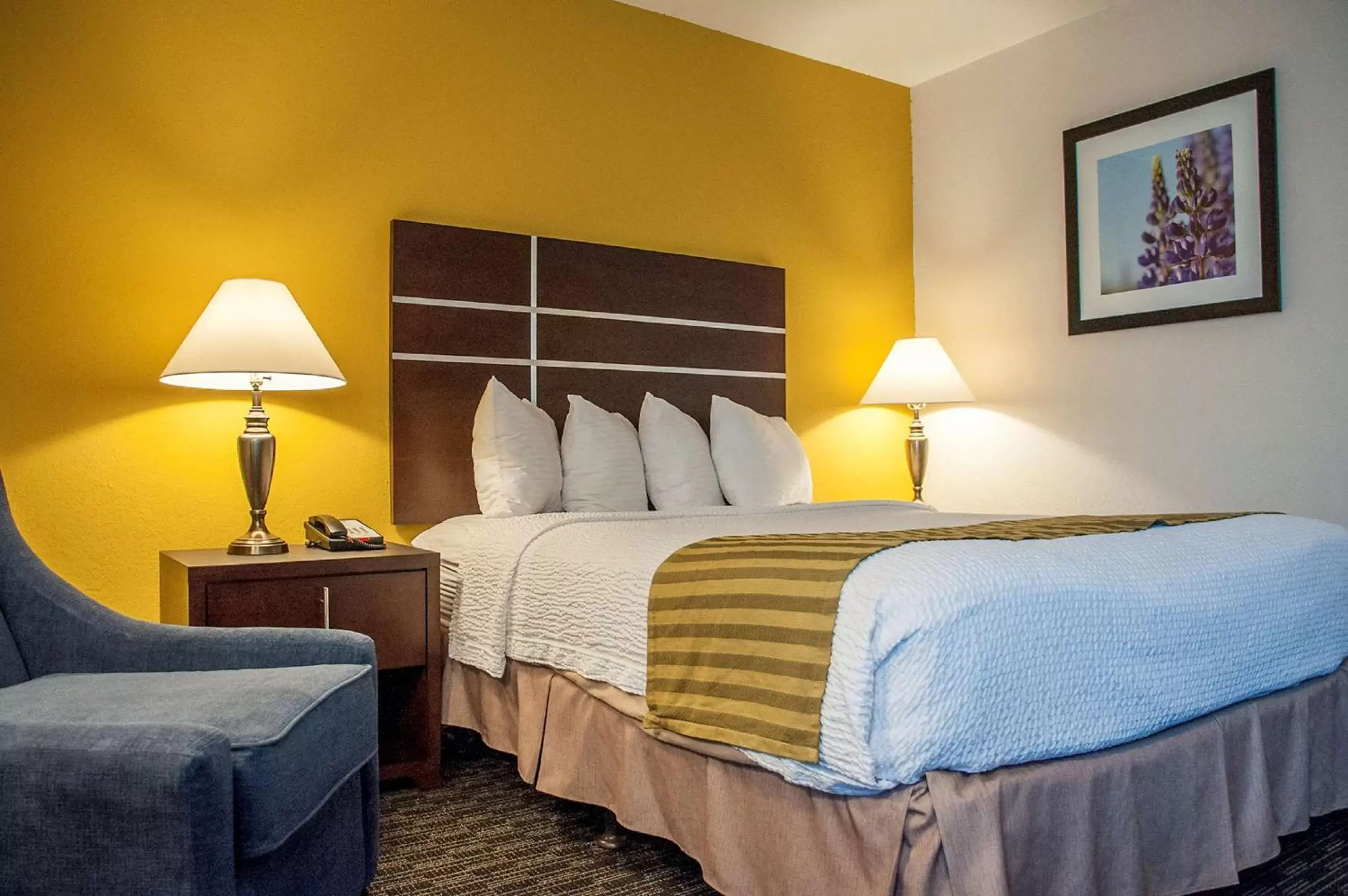 Queen Room - Non-Smoking in Best Western Village Inn Queen Room - Non-Smoking in Best Western Village Inn