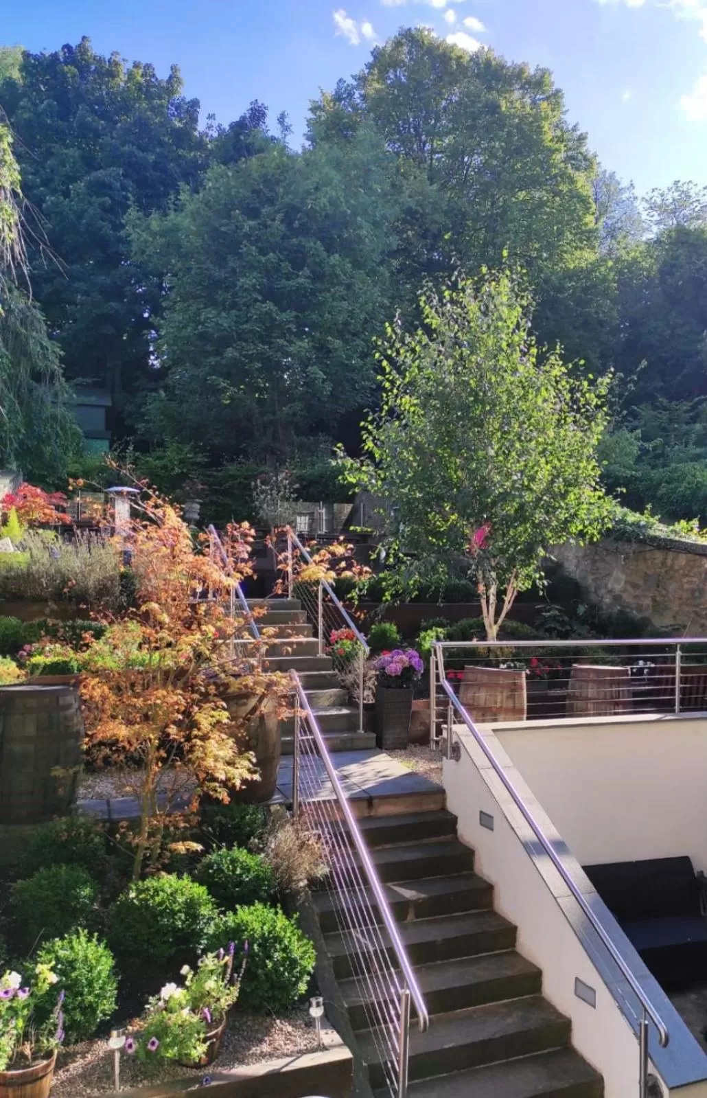 Garden in 24 Royal Terrace