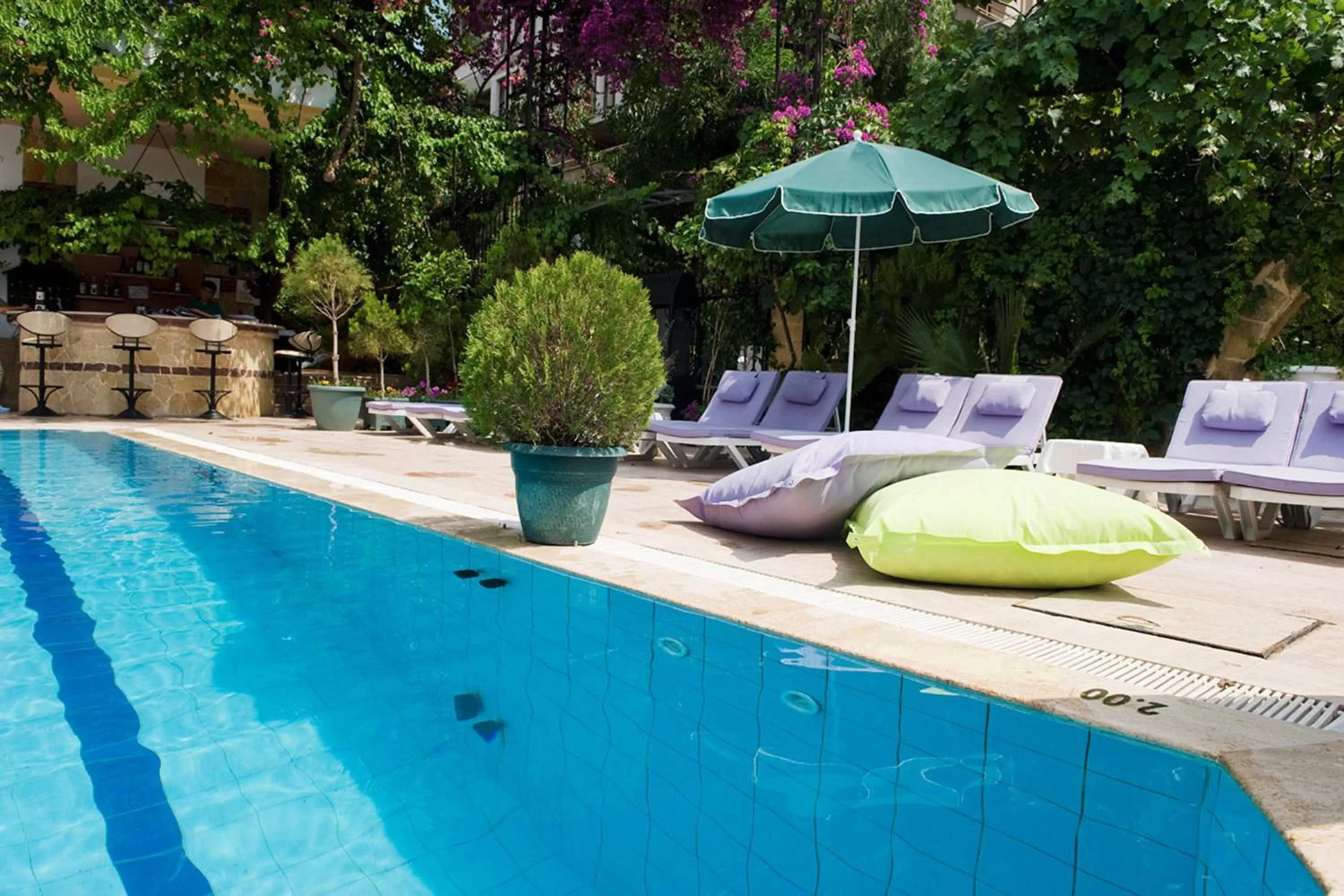 Swimming pool in Villa Sonata