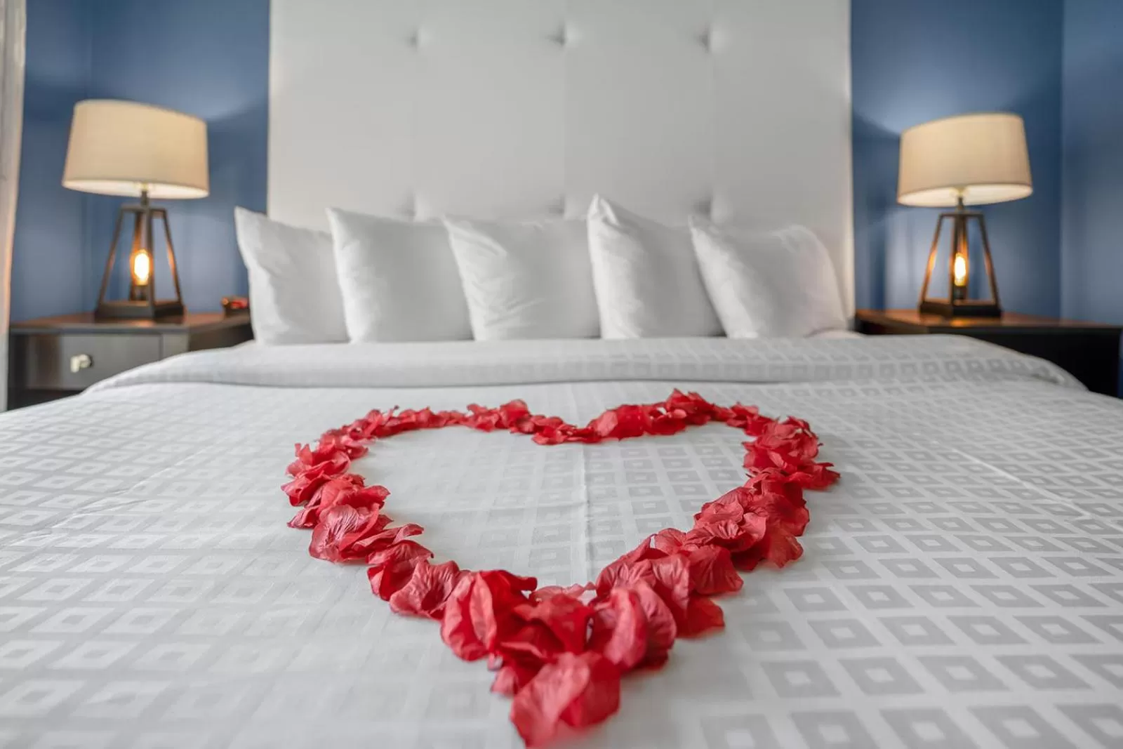 Bed in Avalon Hotel Downtown St. Petersburg