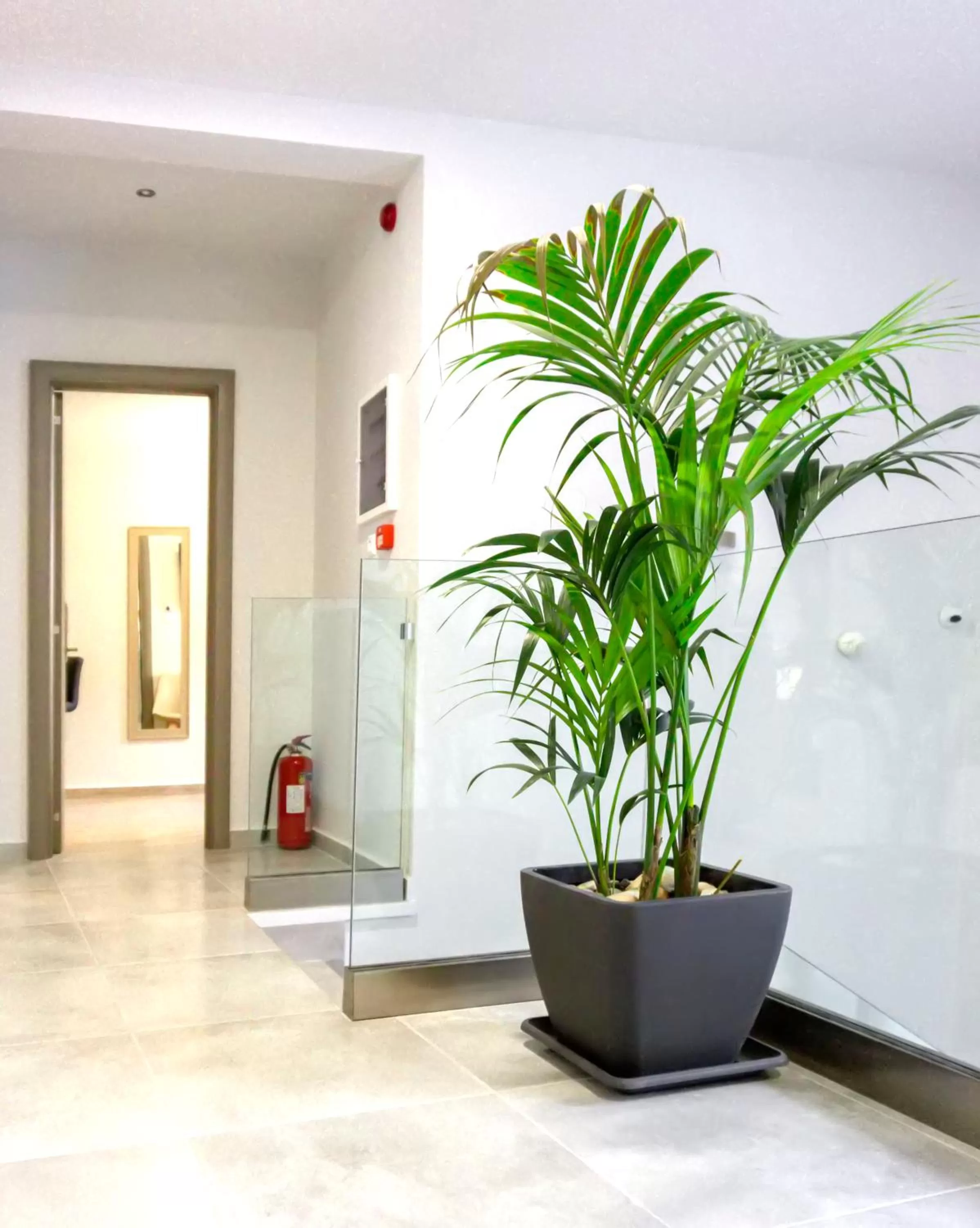 Nearby landmark in Pallada Athens boutique rooms & apartments