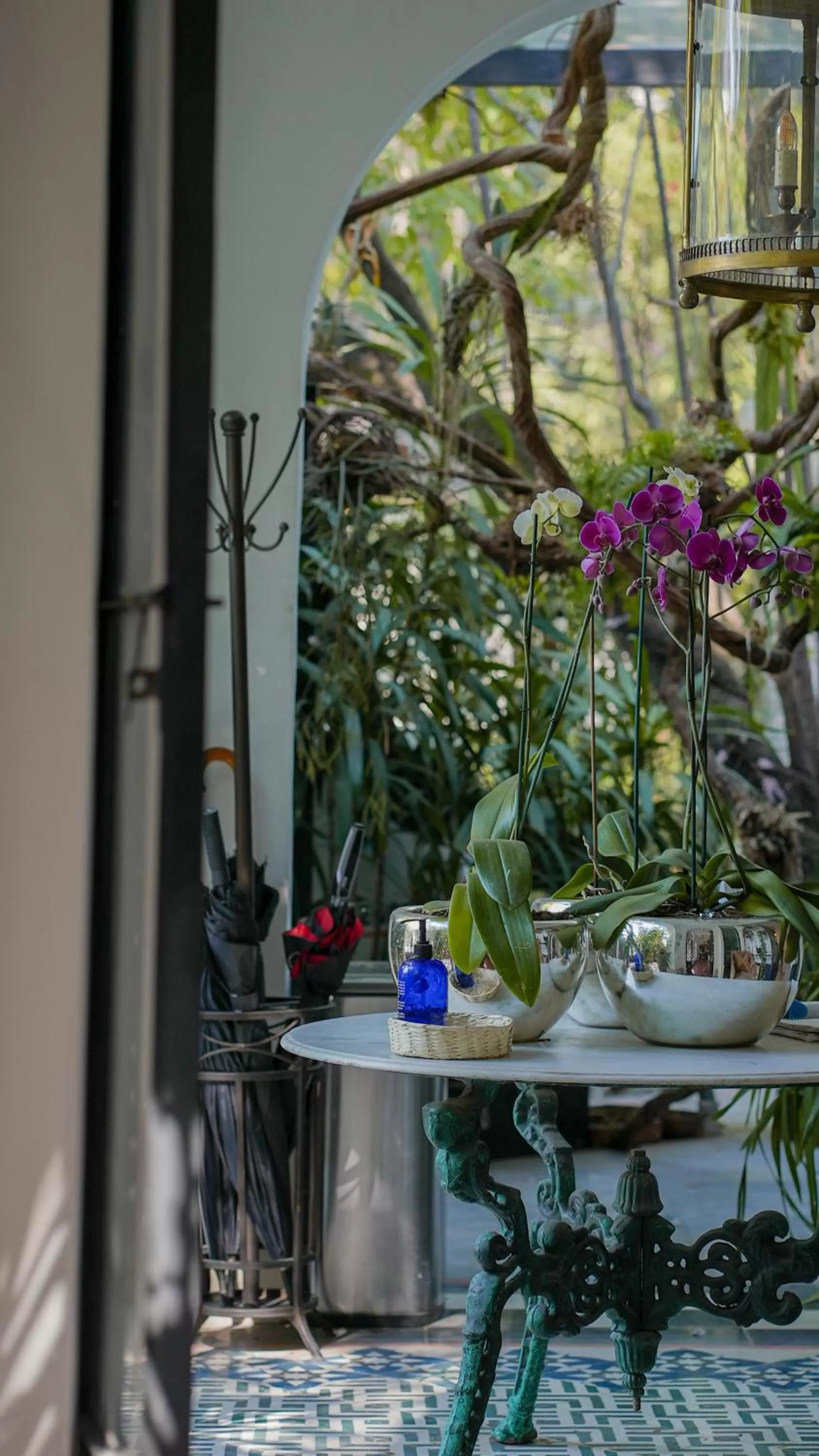 Lobby or reception in Orchid House Mexico City