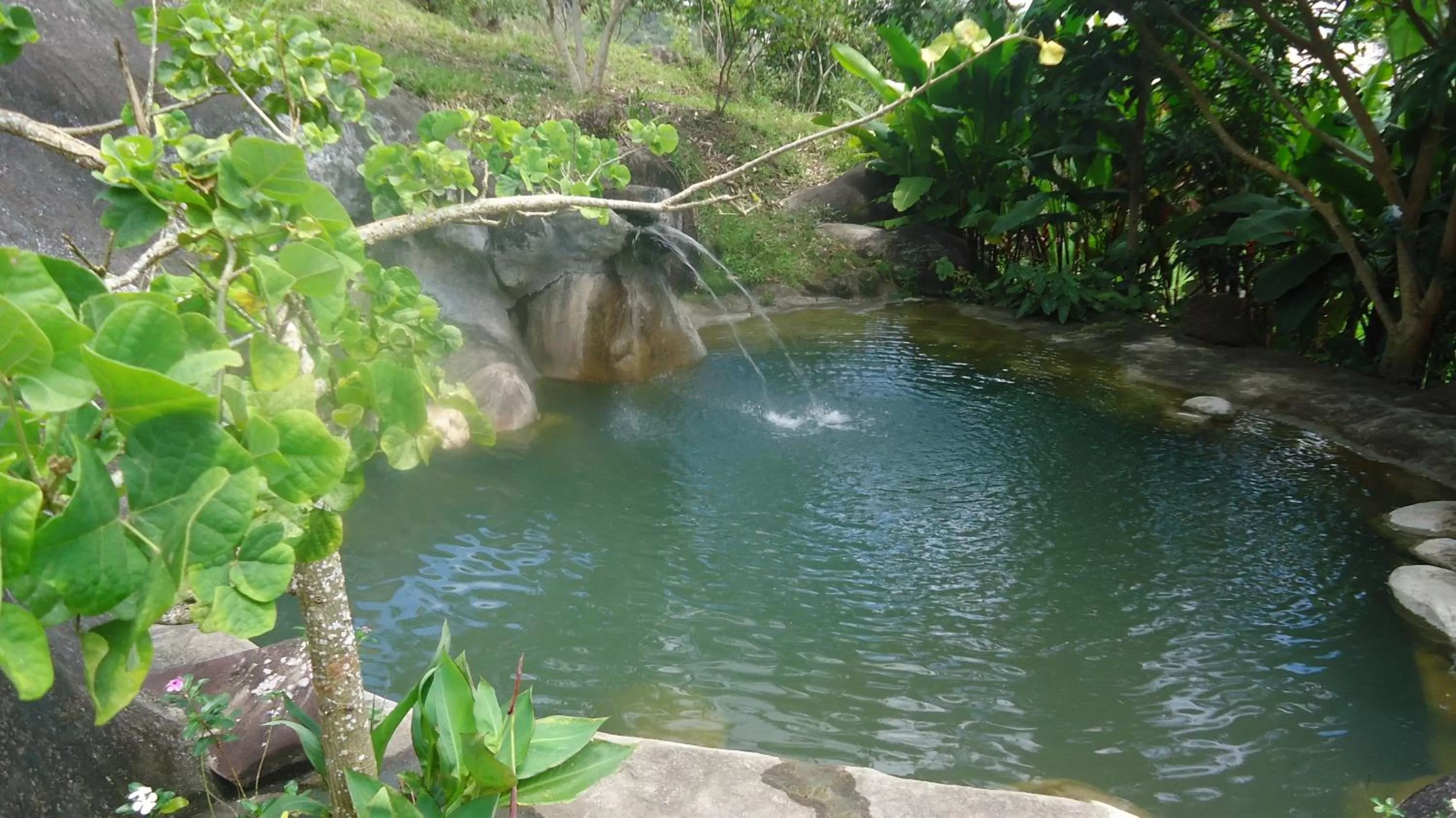 Day in Pousada Aba da Serra