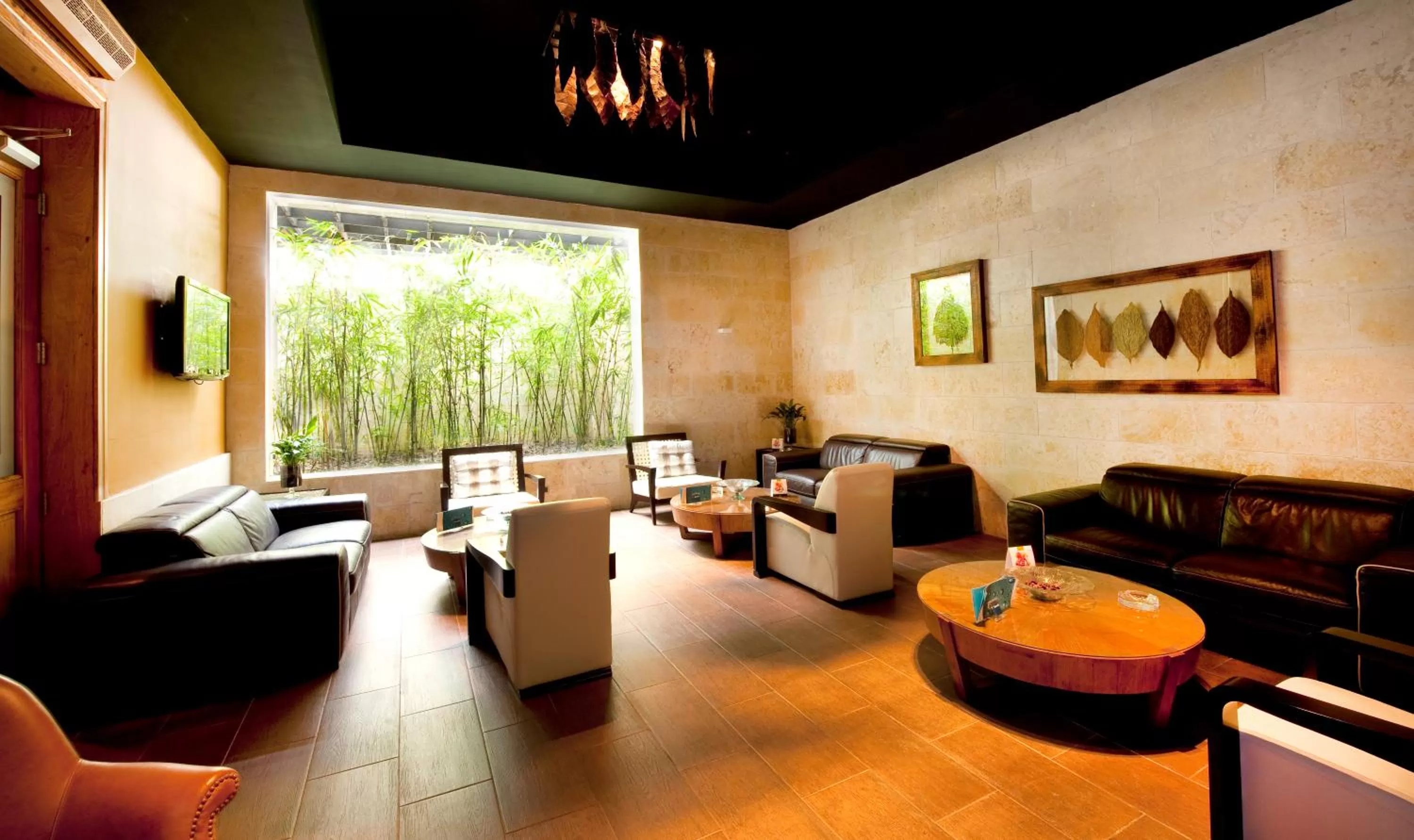 Area and facilities in Barceló Santo Domingo