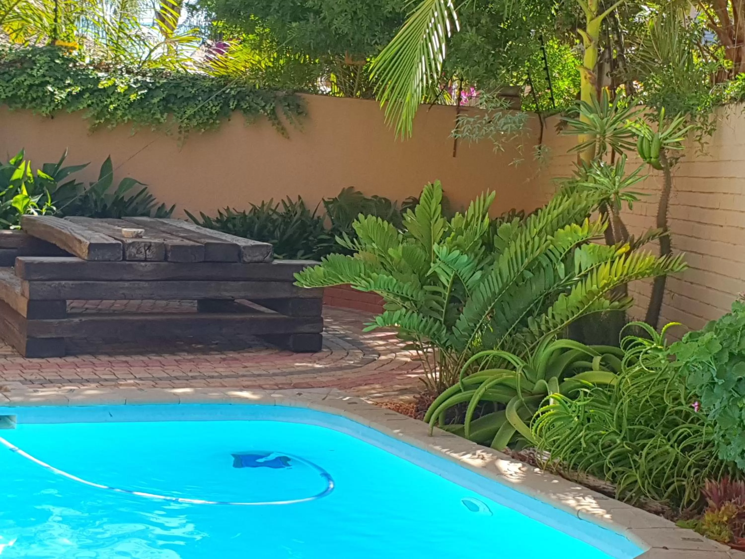 Swimming pool in The Leopard Tree