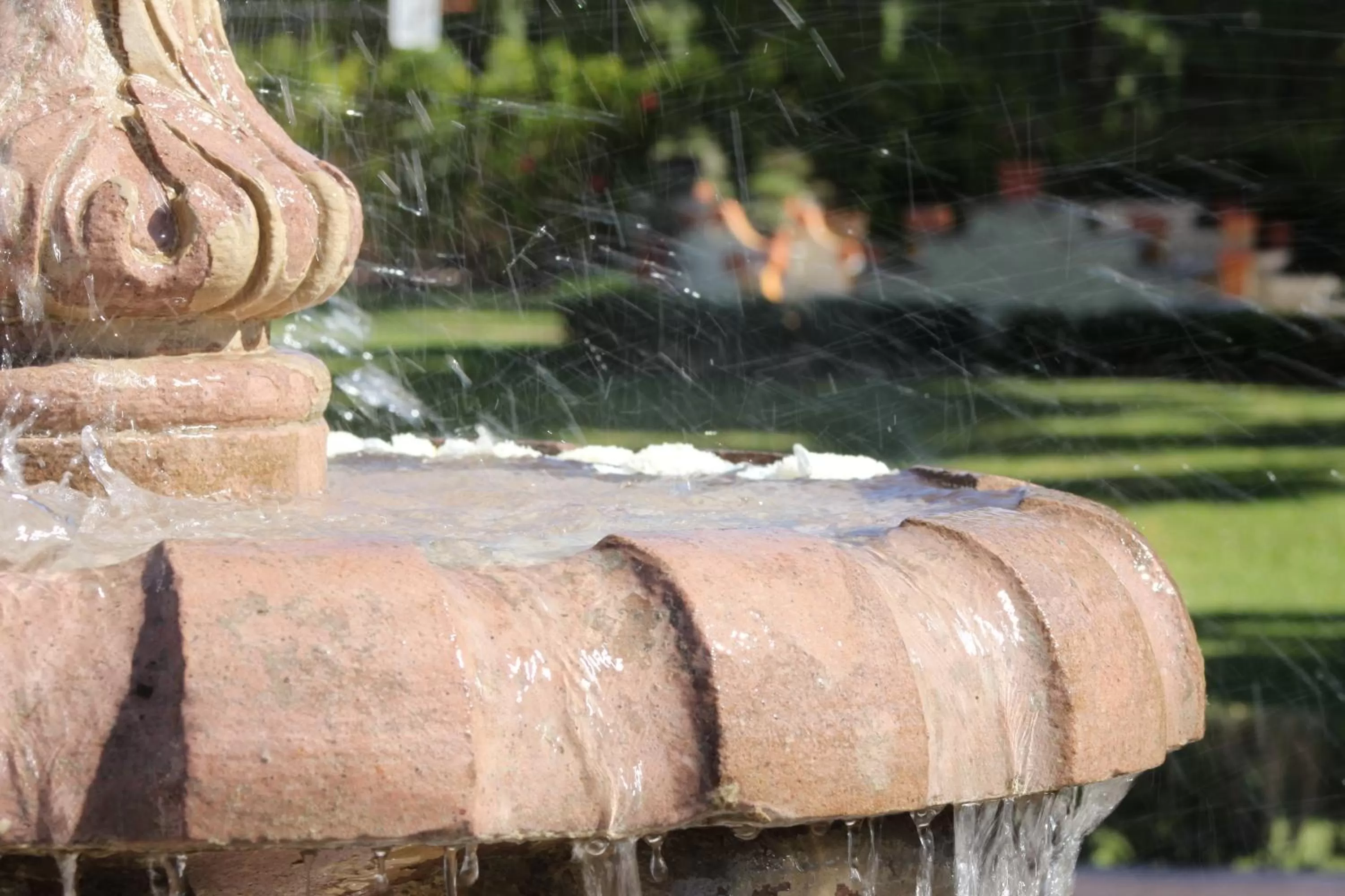 Garden in Hotel La Villa Real