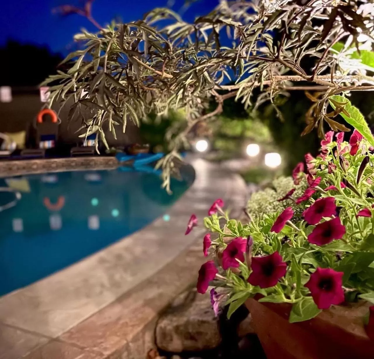 Swimming Pool in A Vista Villa Couples Retreat