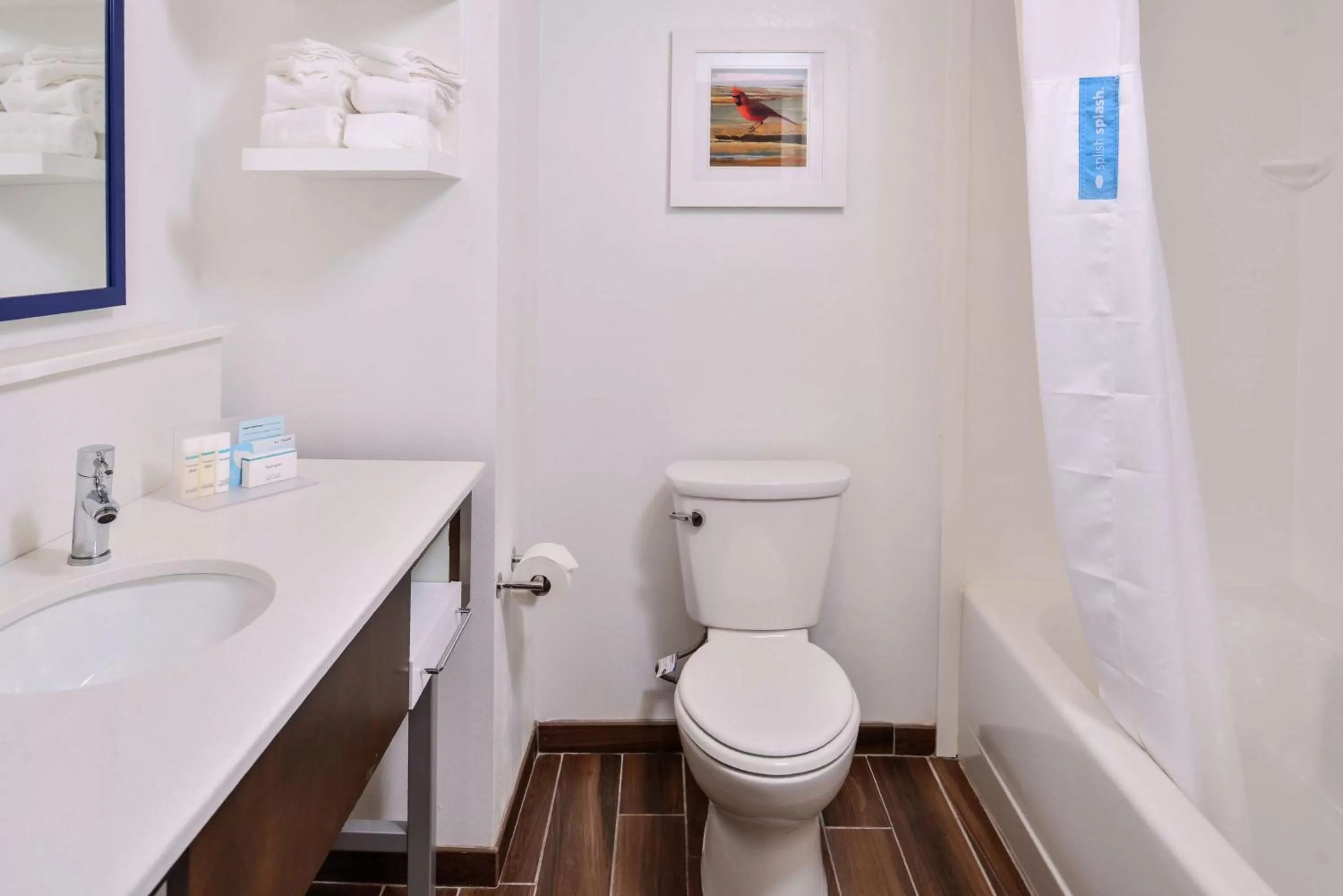 Bathroom in Hampton Inn Benson