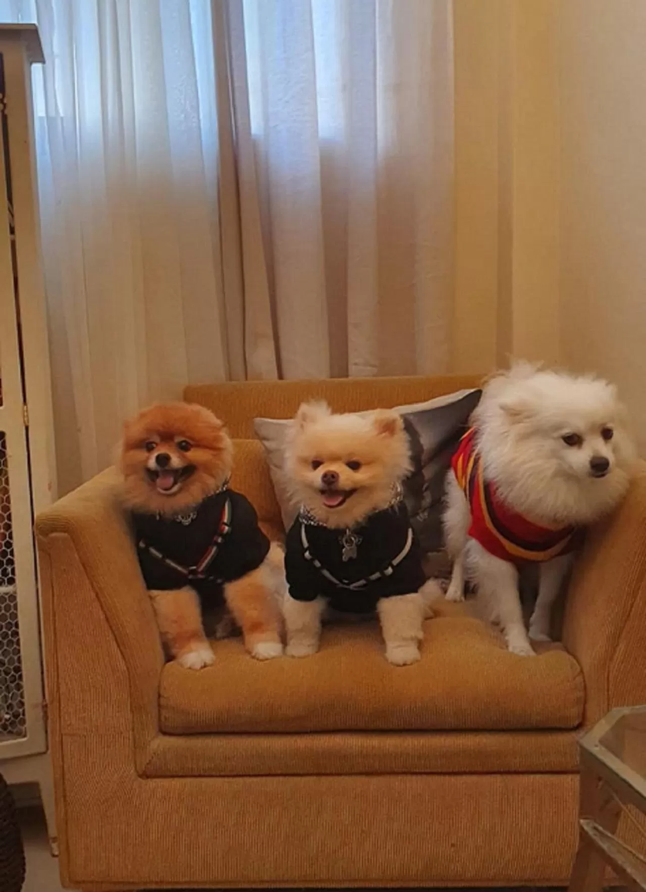 Seating area in Costa Maris Beach Hotel Frente Mar