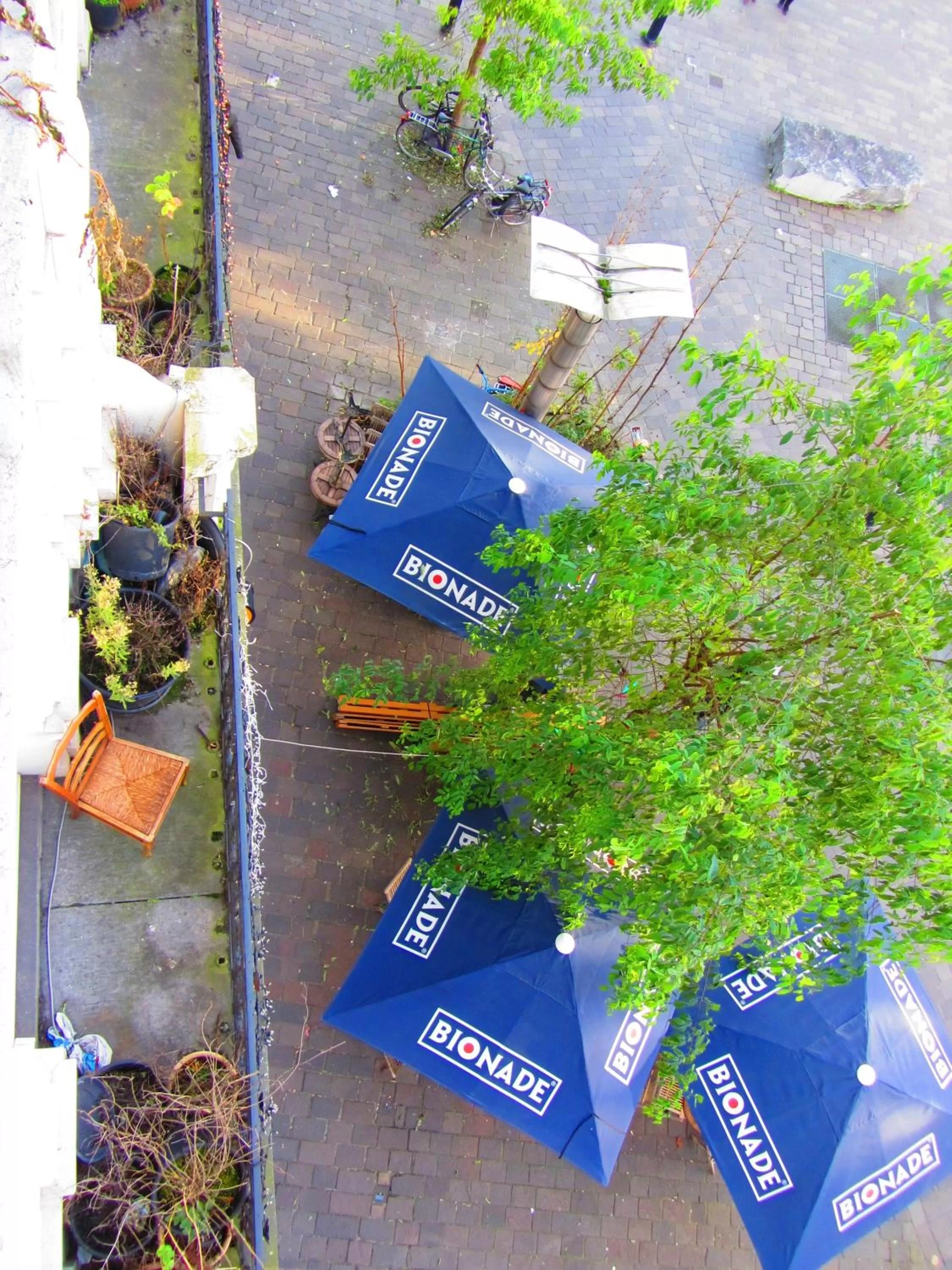 Restaurant/places to eat in Vakantielogies Faja lobi