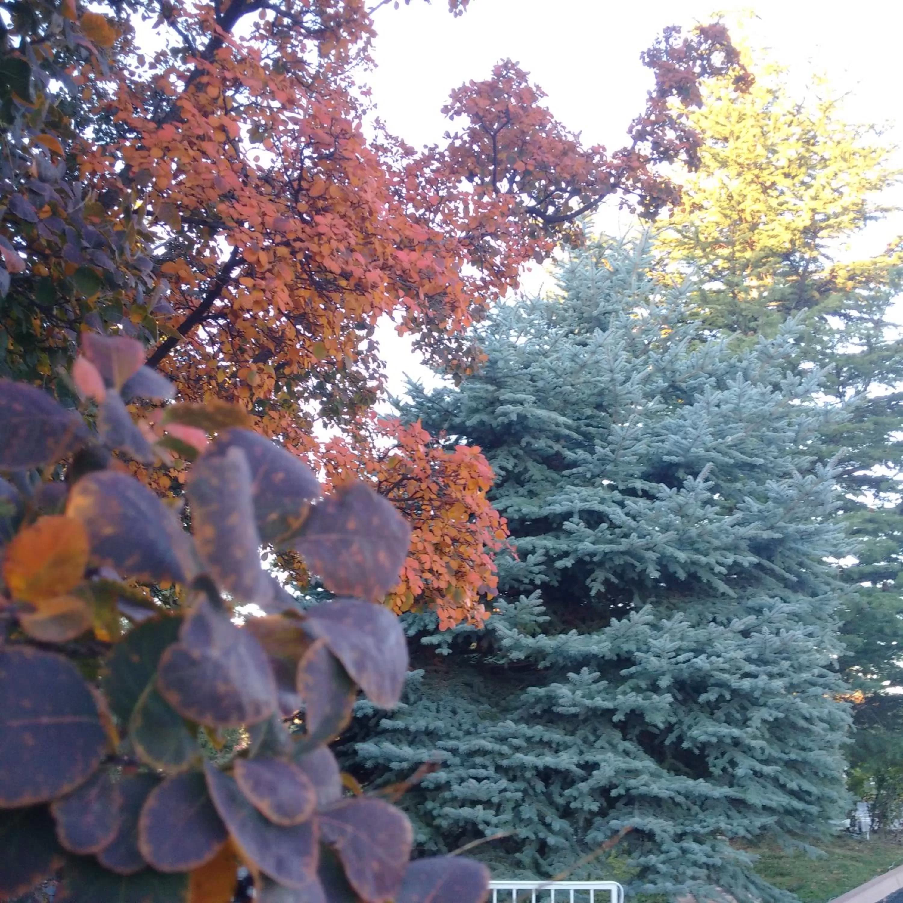 Property building in Forest Villas Hotel