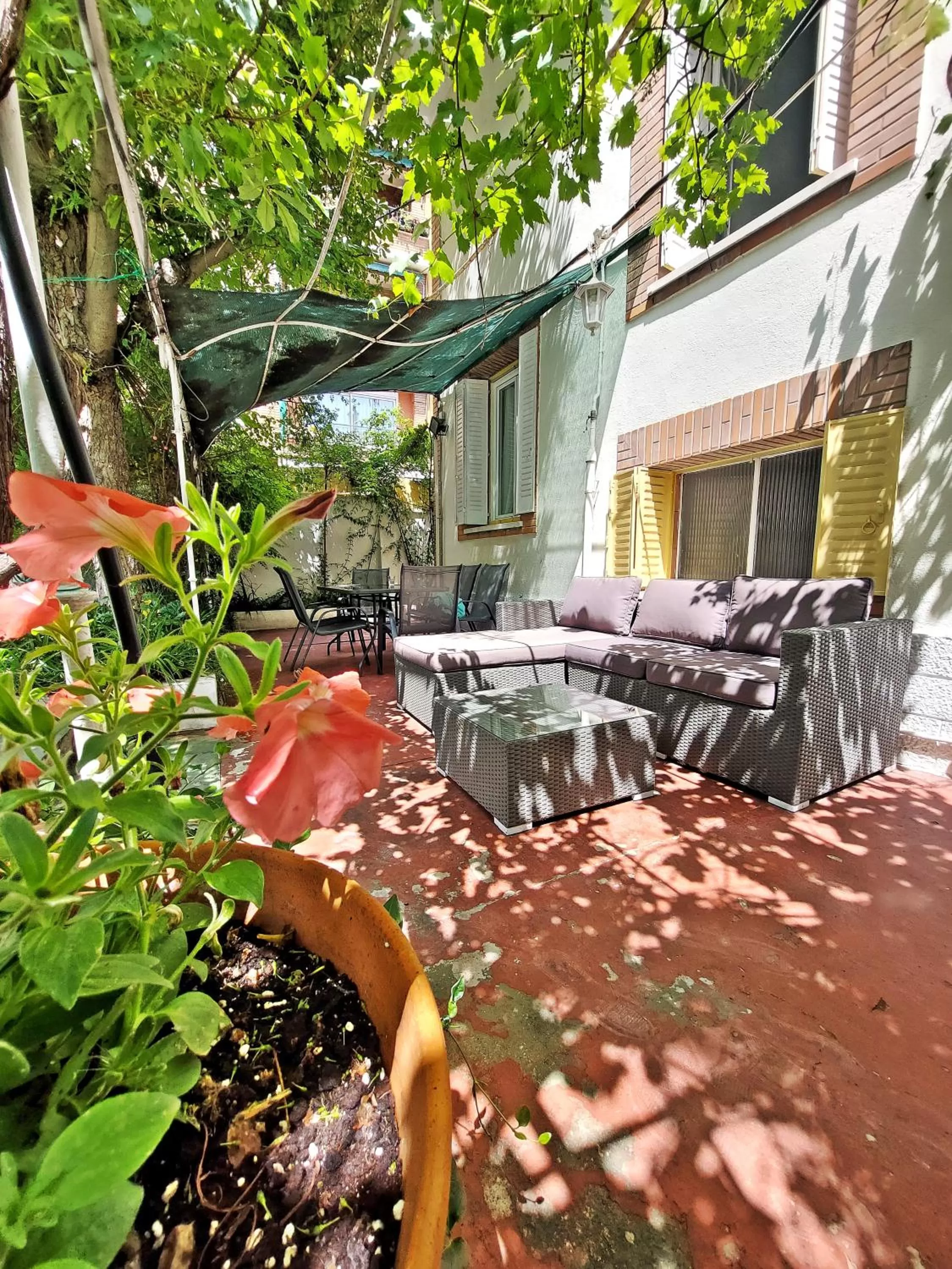 Garden in N1 Casa de Madrid - greenpeace line