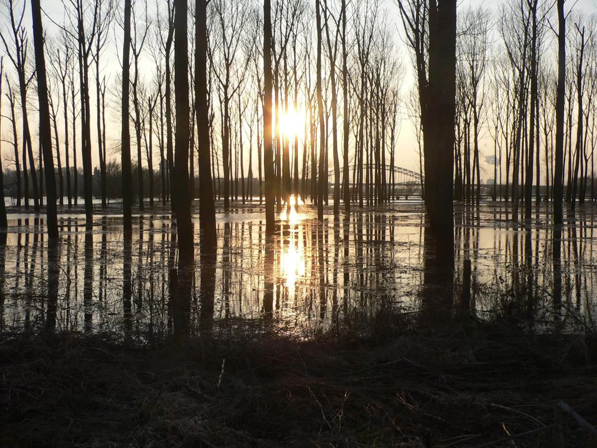 Neighbourhood in Casa Tranquila