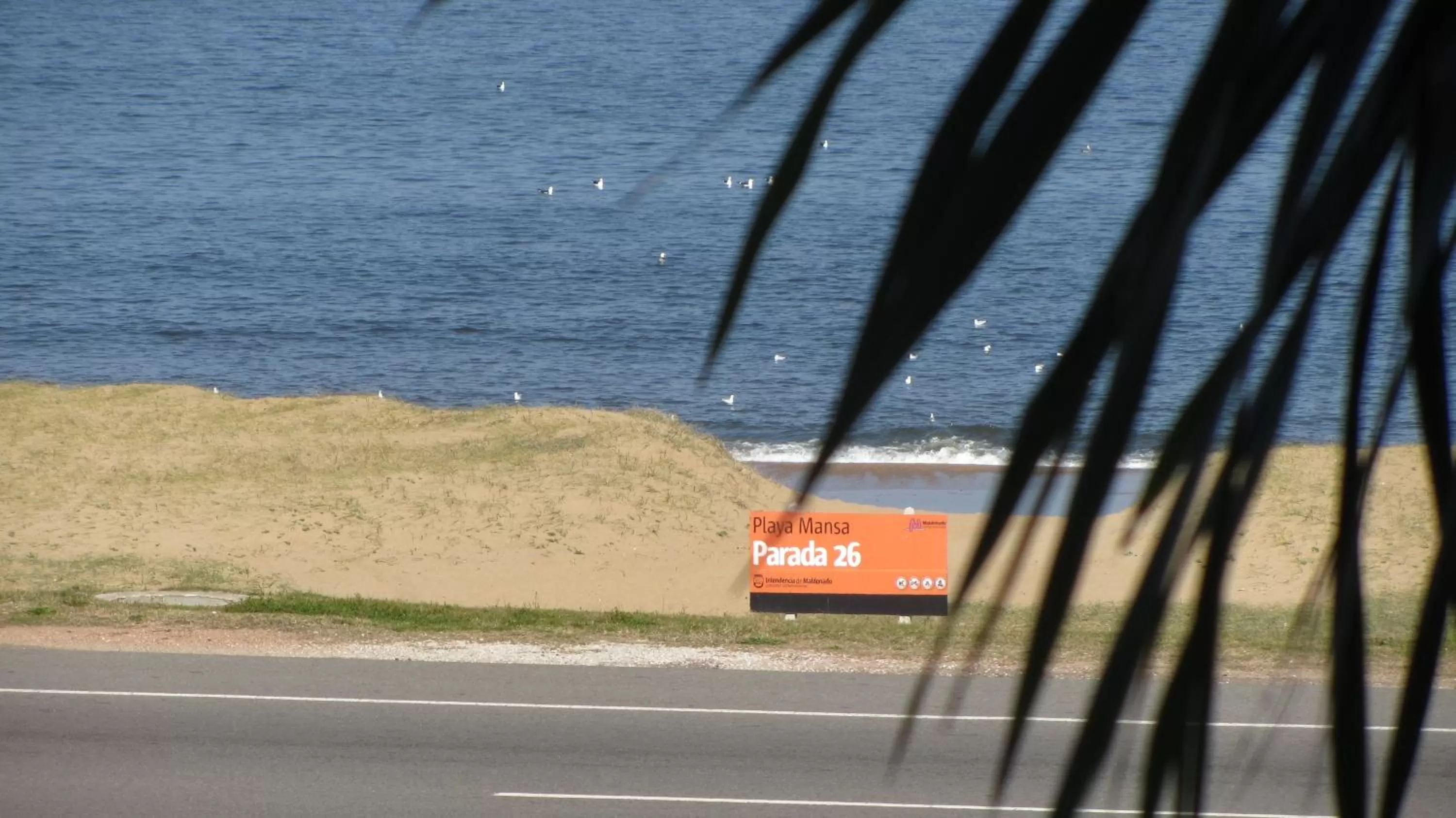 View (from property/room) in BDA Hotel & Spa