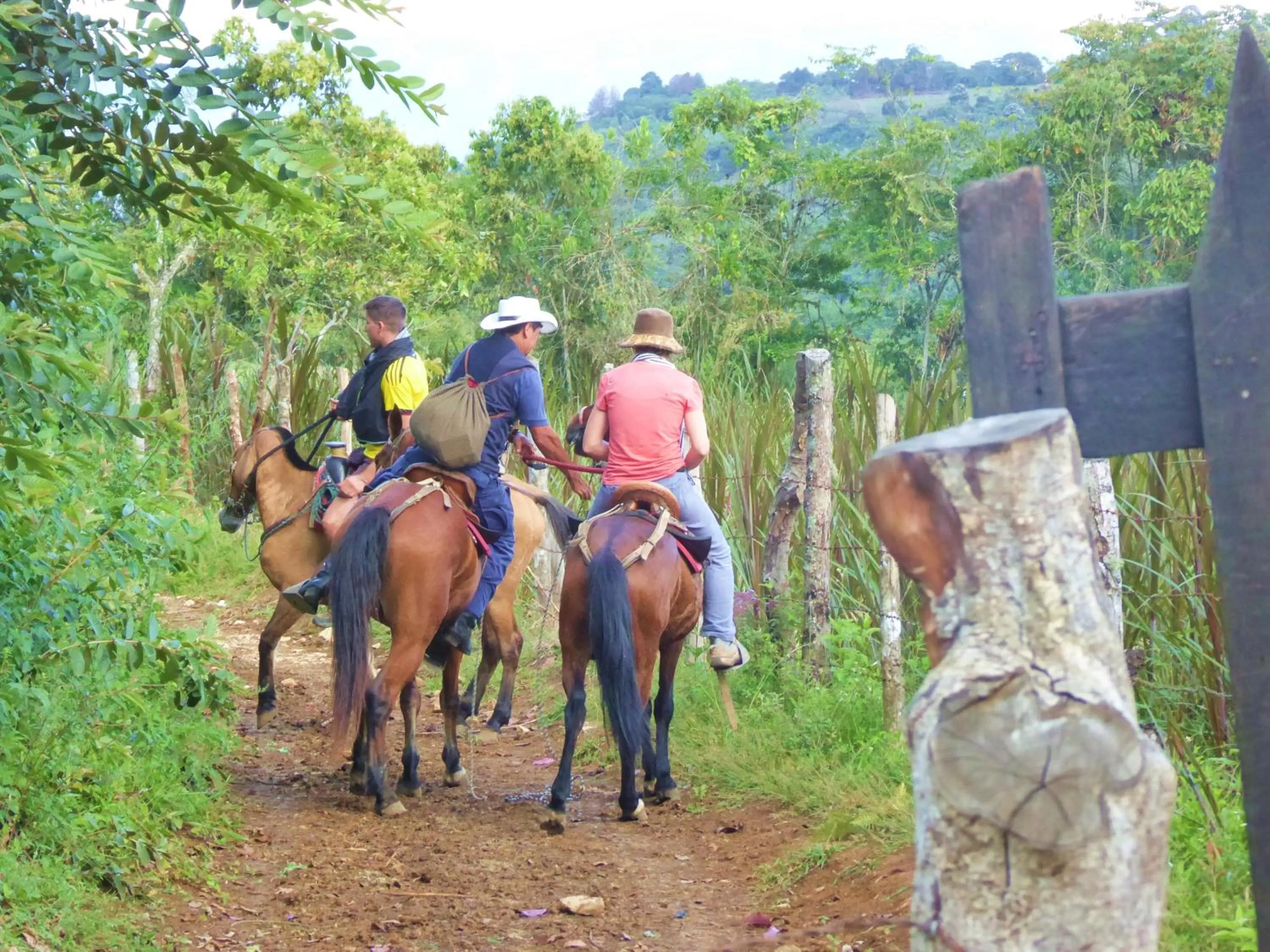 Horse-riding in Finca El Cielo