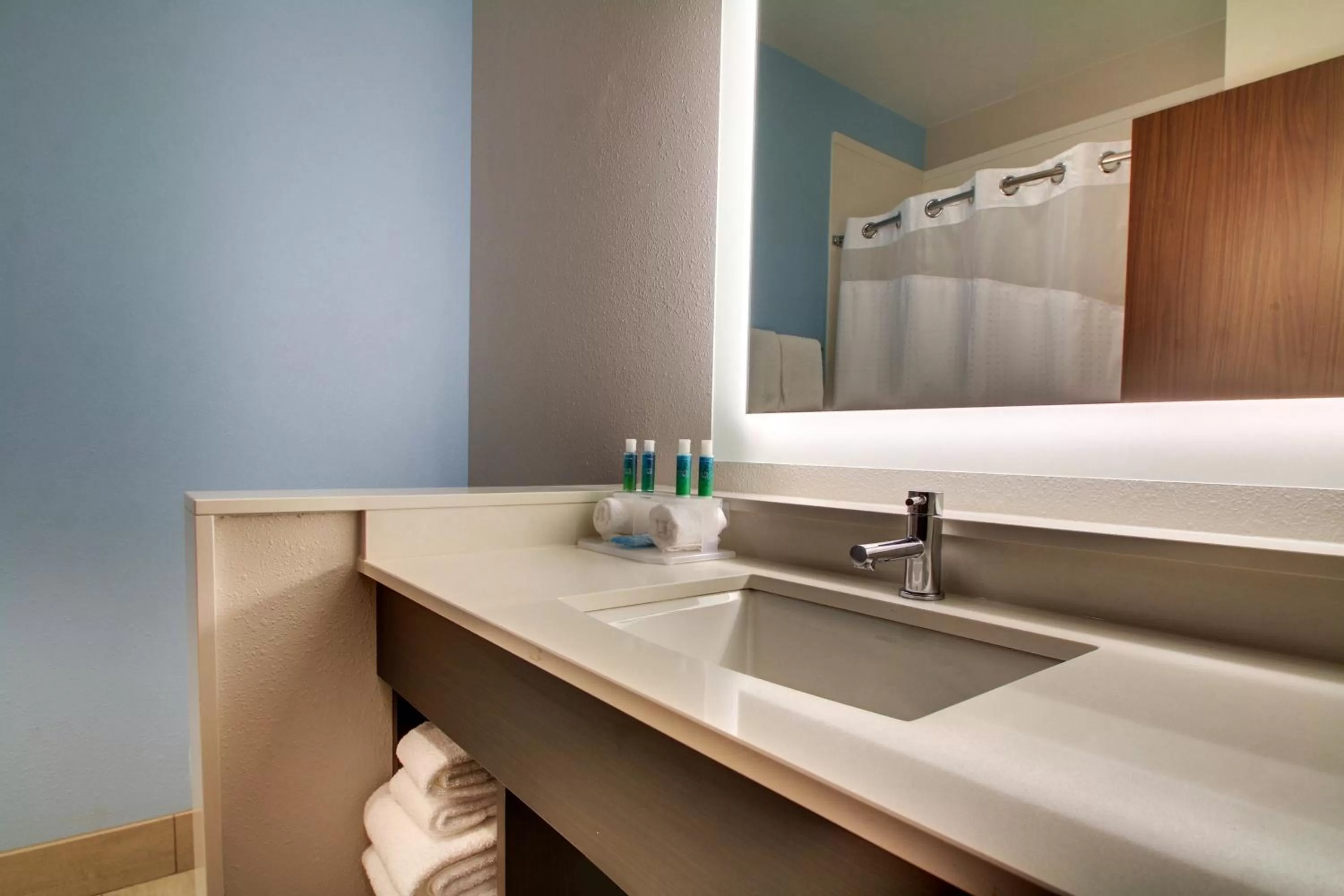 Bathroom in Holiday Inn Express & Suites - Summerville by IHG