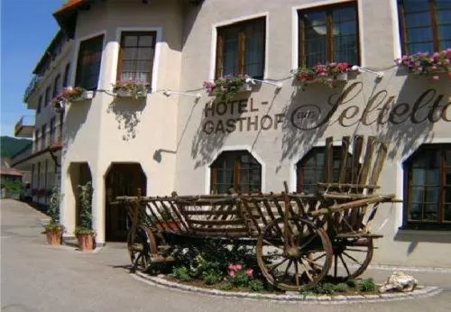 Facade/entrance in Hotel Gasthof am Selteltor