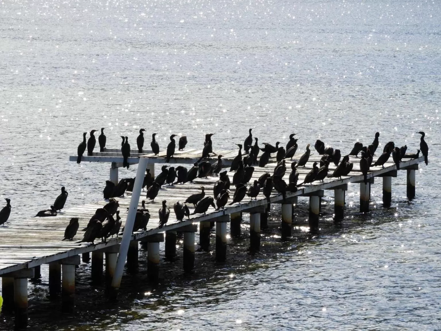 Natural landscape in Pousada Dunasol Floripa