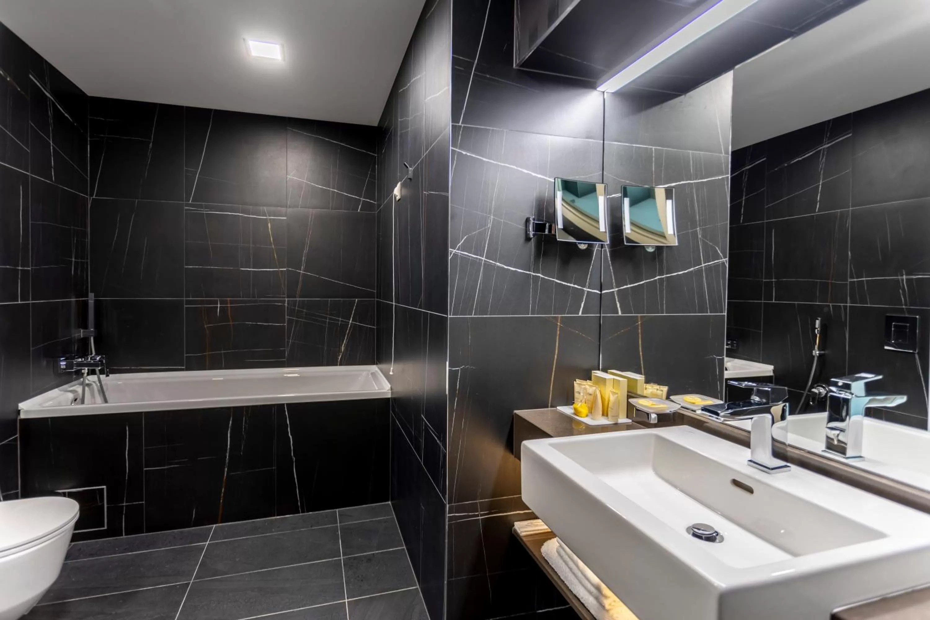 Toilet in Hotel Bulgaria