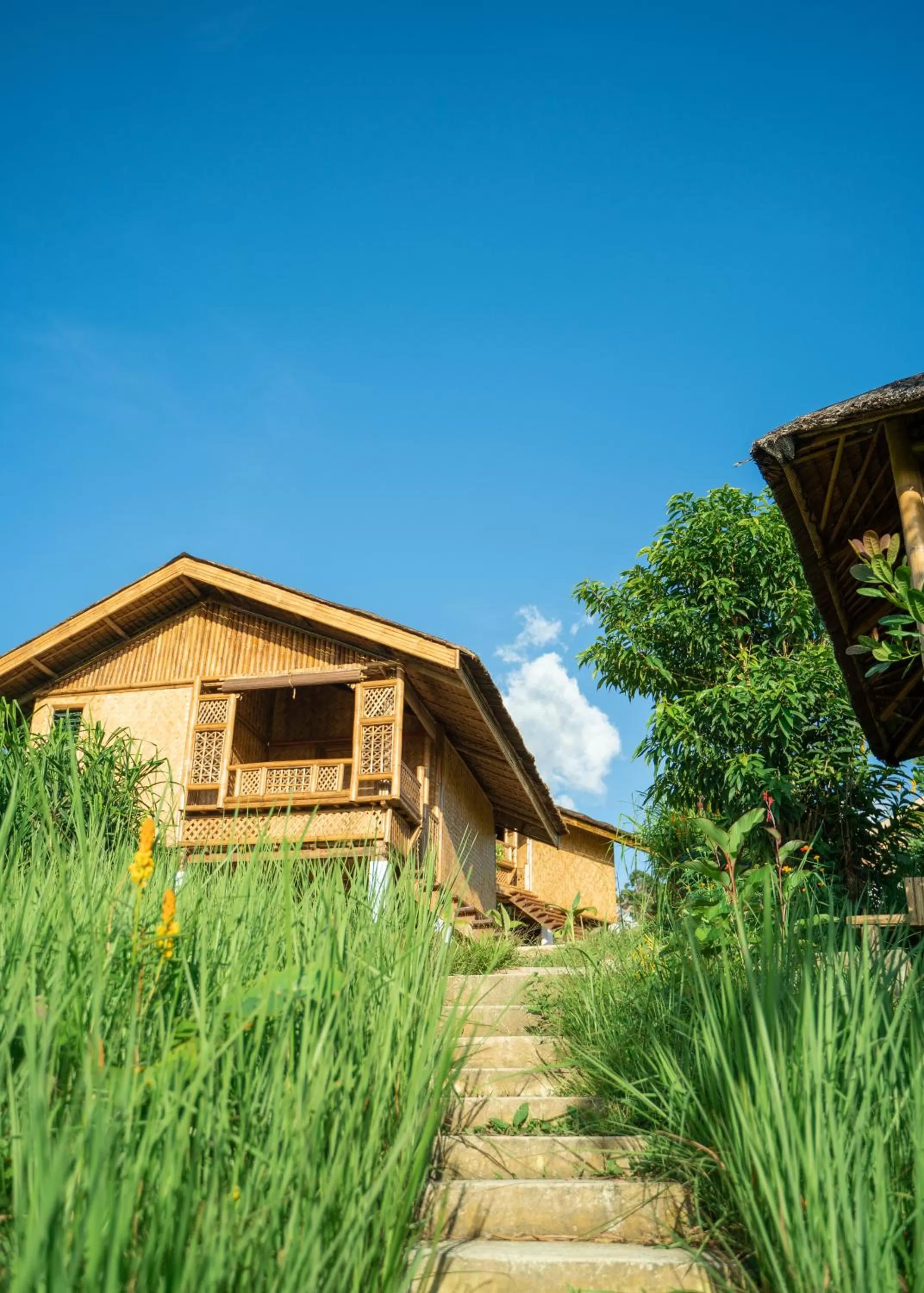 Property building in Ocean Green Eco Lodge