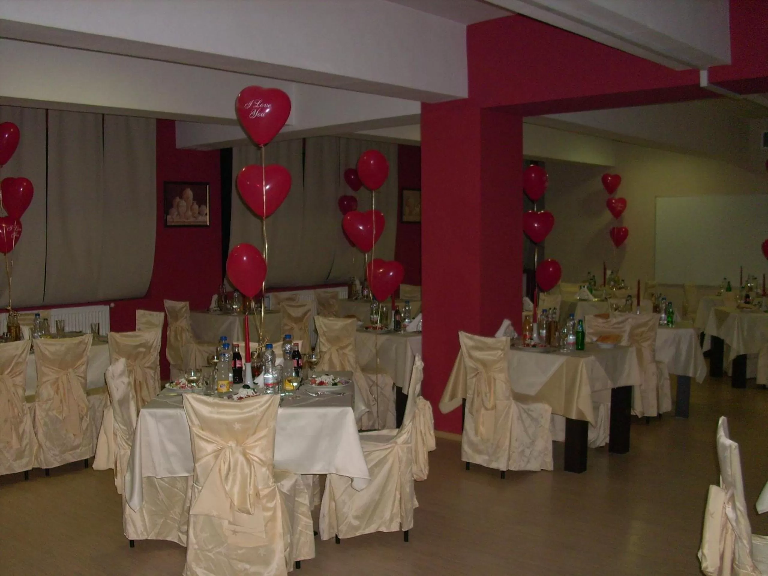 Banquet/Function facilities, Banquet Facilities in Spa Hotel Kleptuza