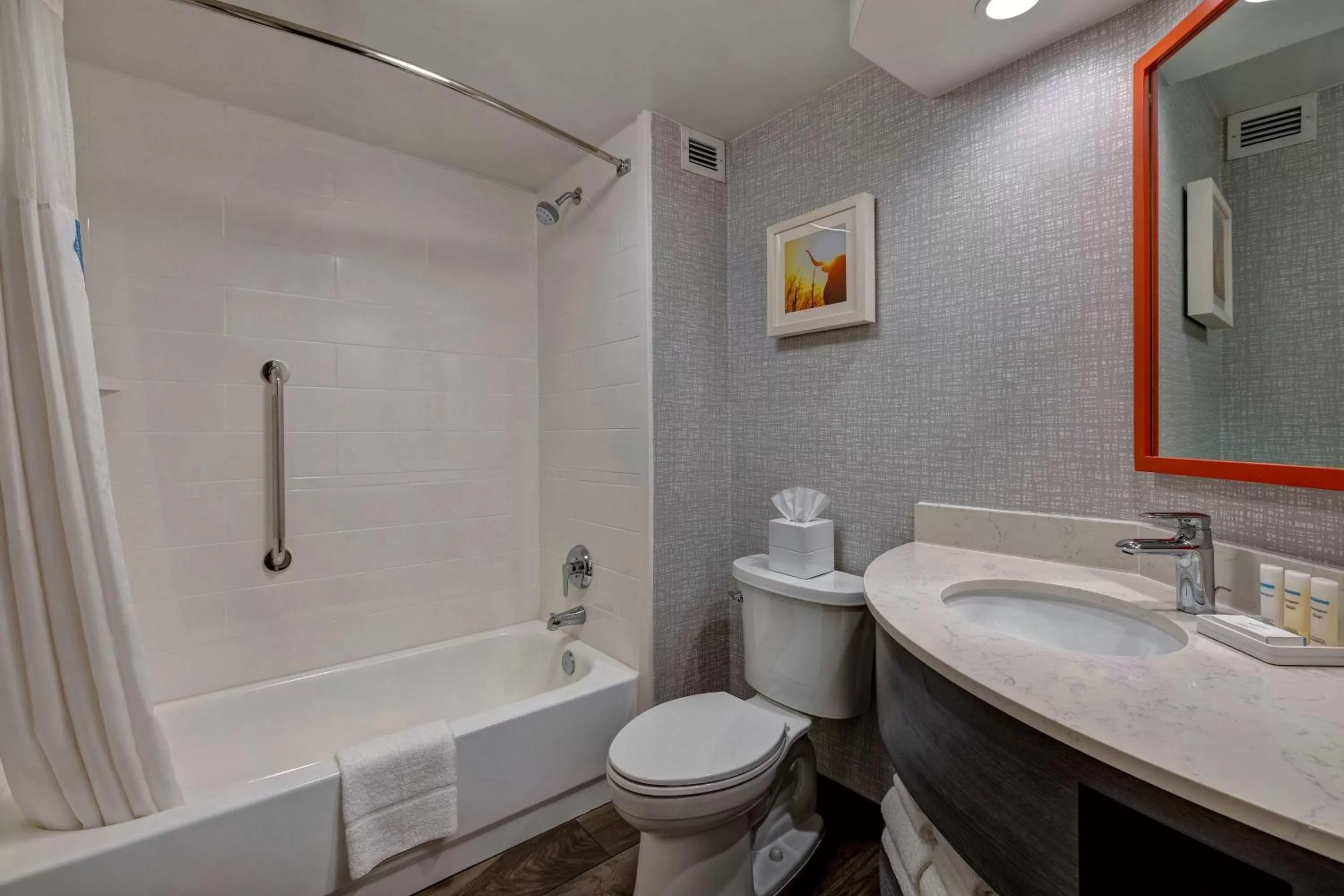 Bathroom in Hampton Inn San Antonio Downtown