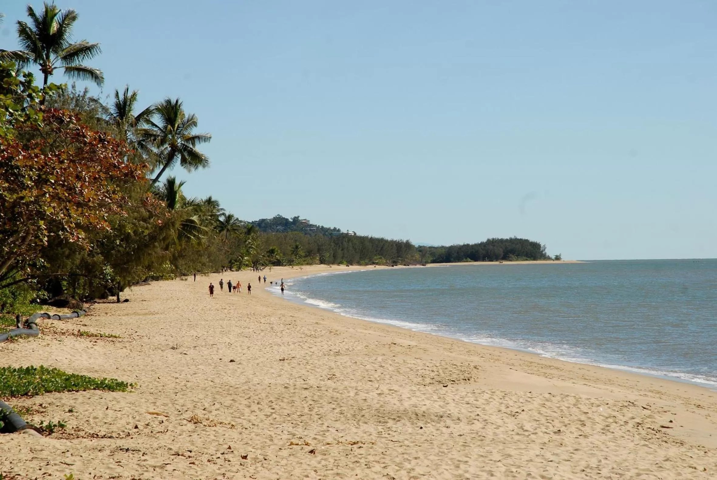 Beach in Cairns Beach Resort