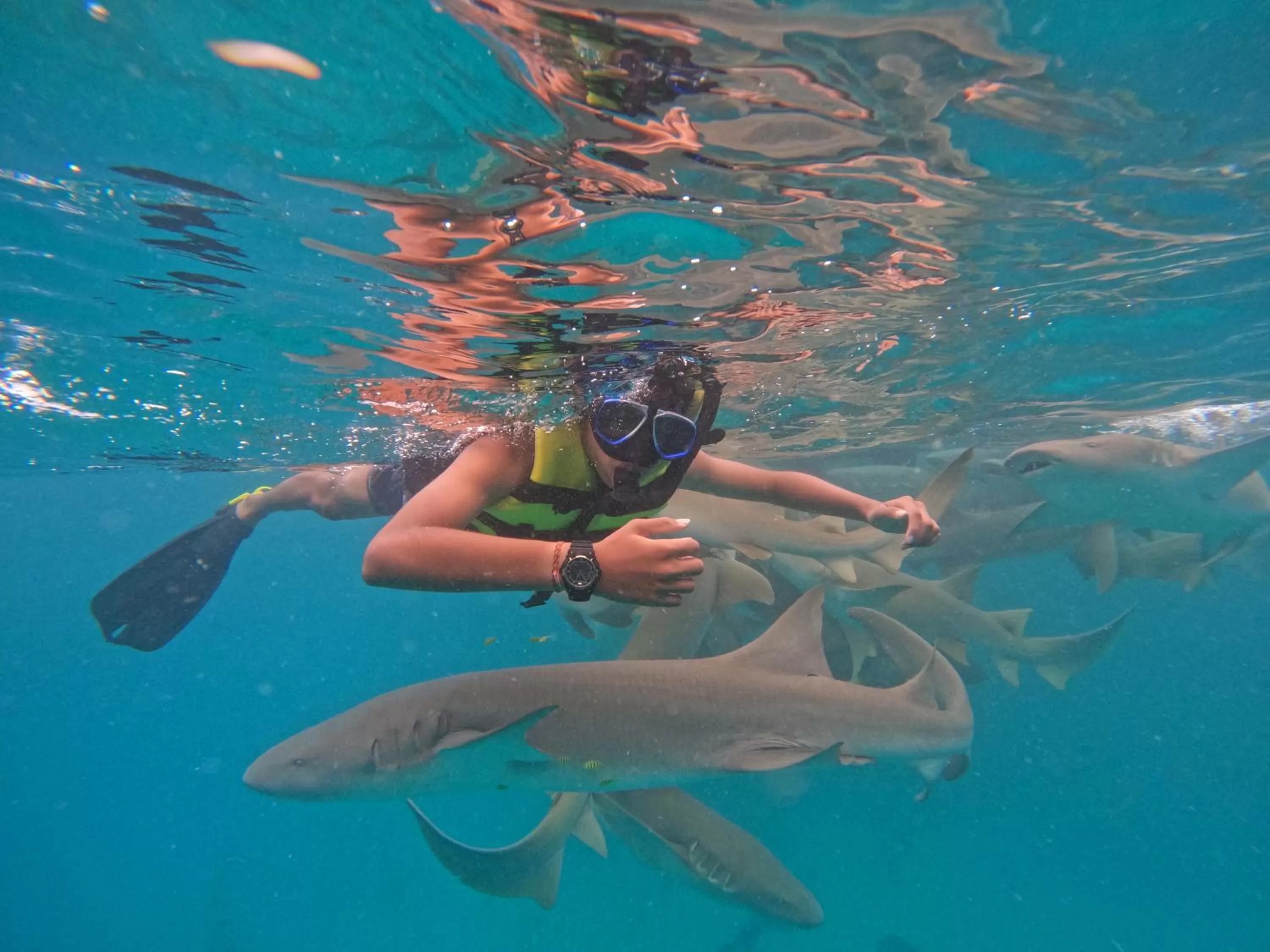 Snorkeling in Araamview