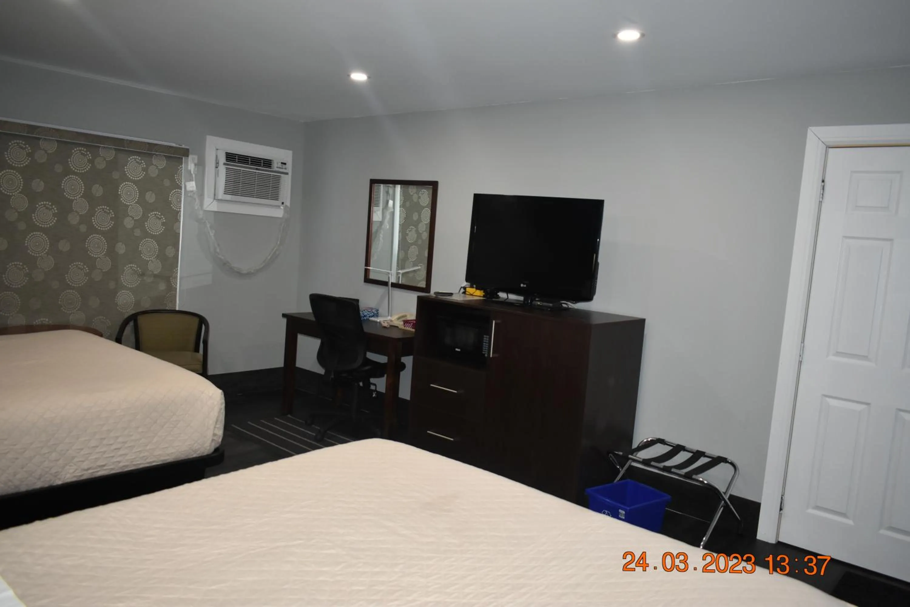 Bed in Time Travellers Motel