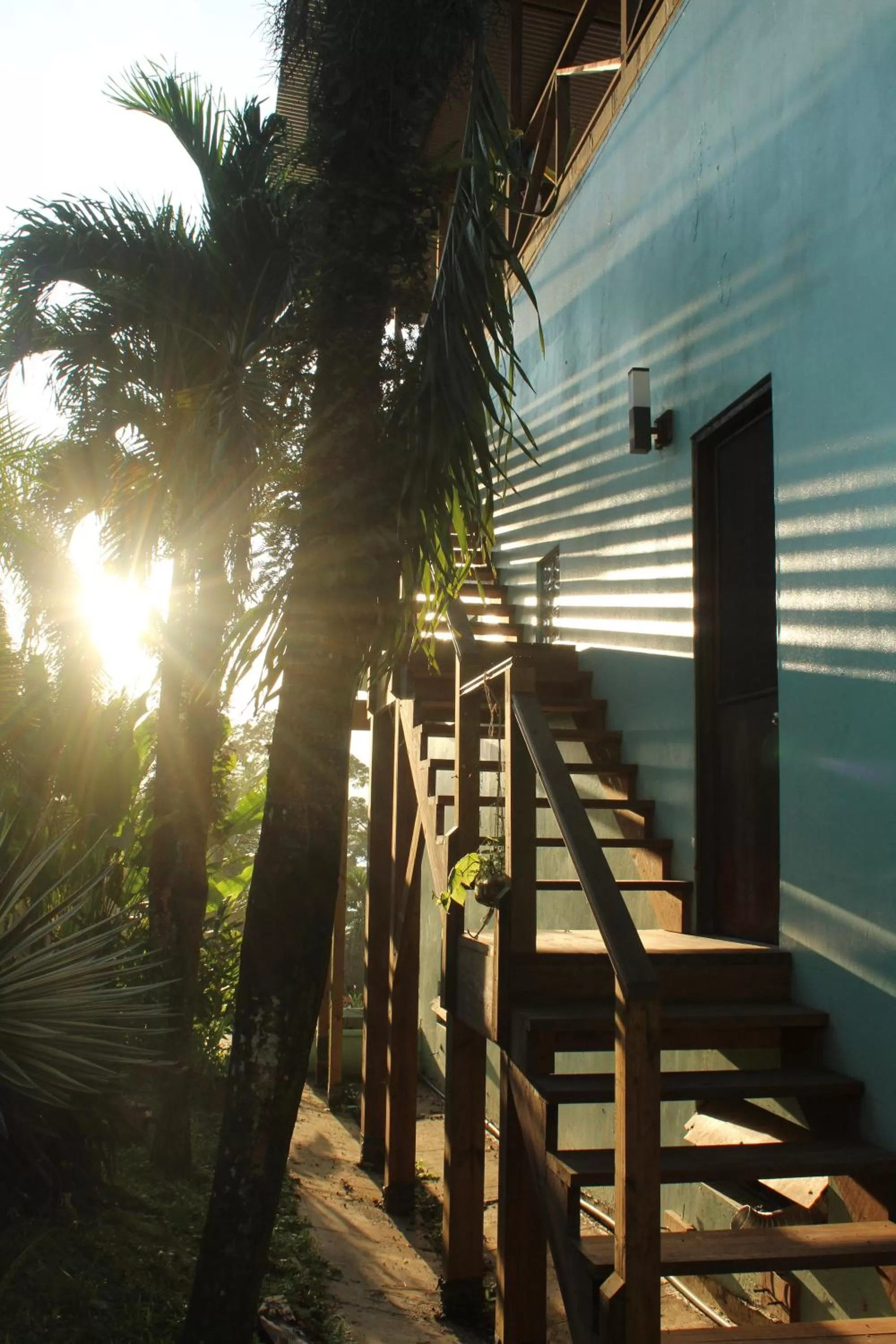 Property building in Bird Island Bungalows