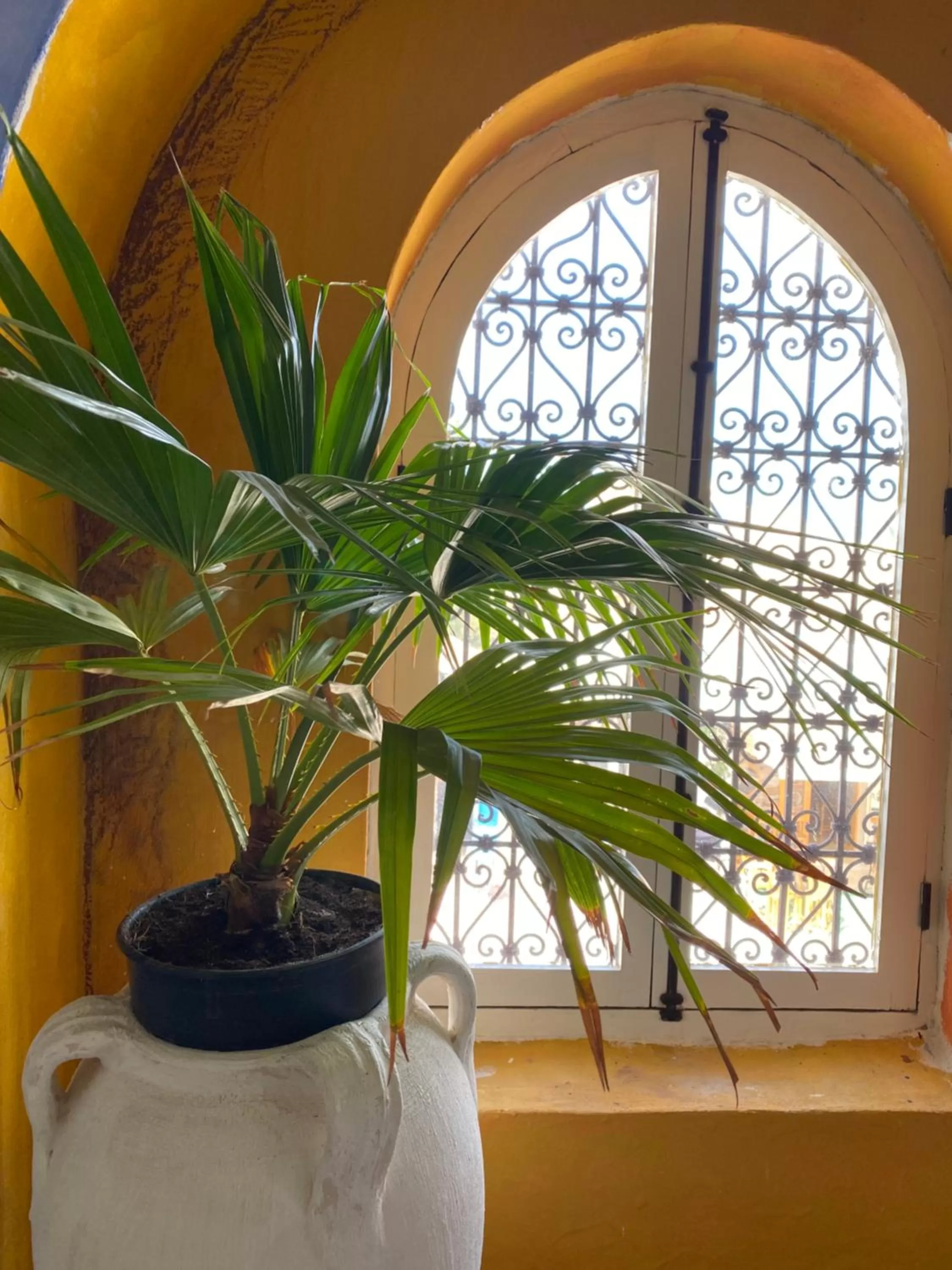 Lobby or reception in Hôtel Djerba Authentique - Au centre de Midoun