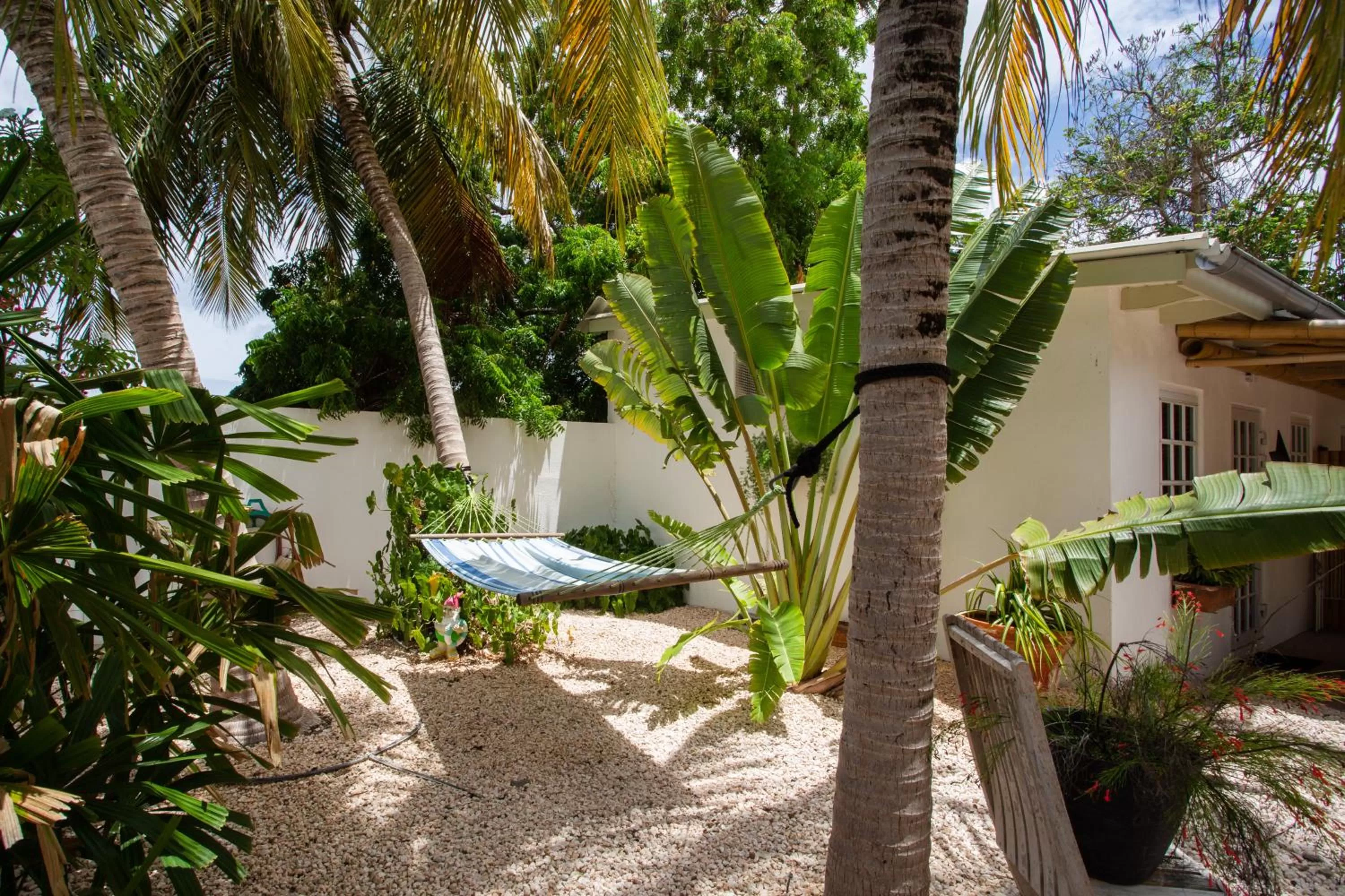 Garden in B&B Sombre di Kabana