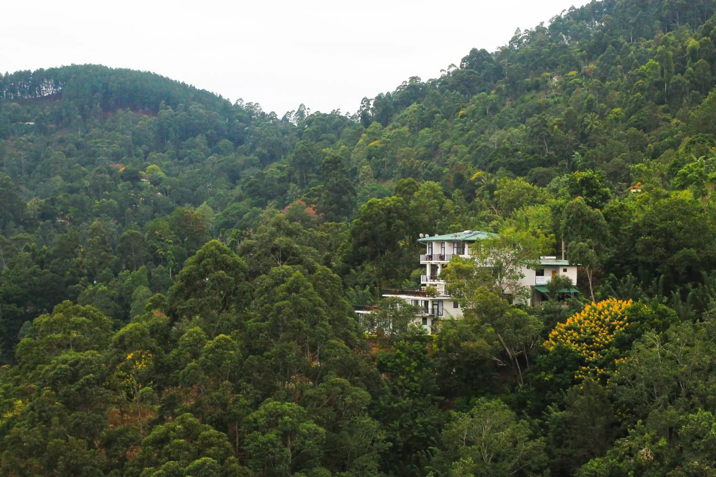 Area and facilities, Bird's-eye View in Mountain Heavens