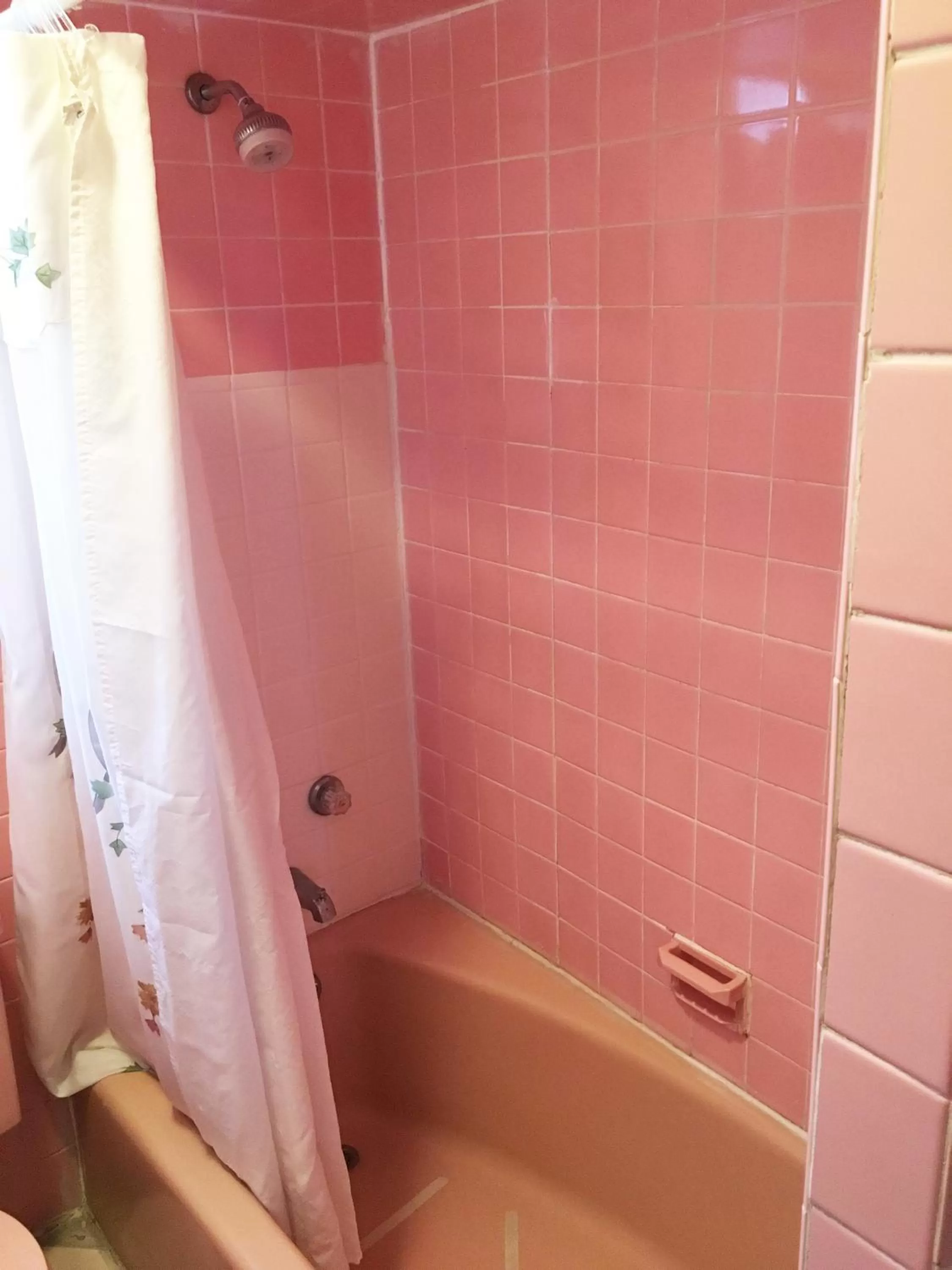 Shower in Village Motel