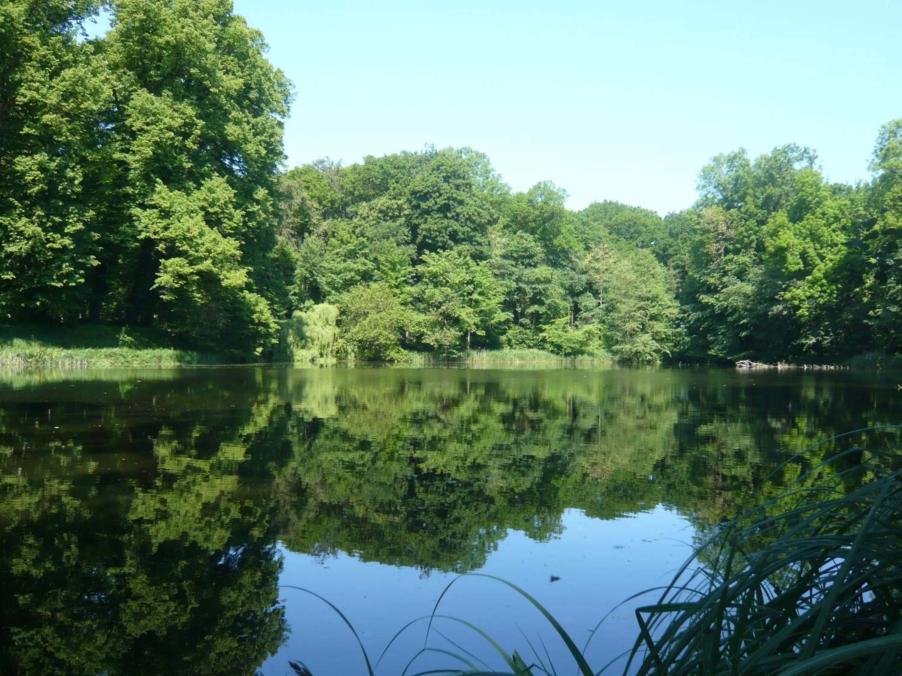 Fishing in Carmina am See