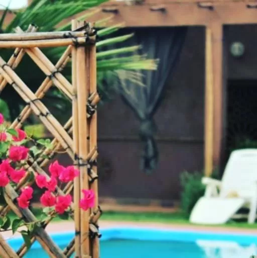 Swimming pool in Riad Darga Rouge