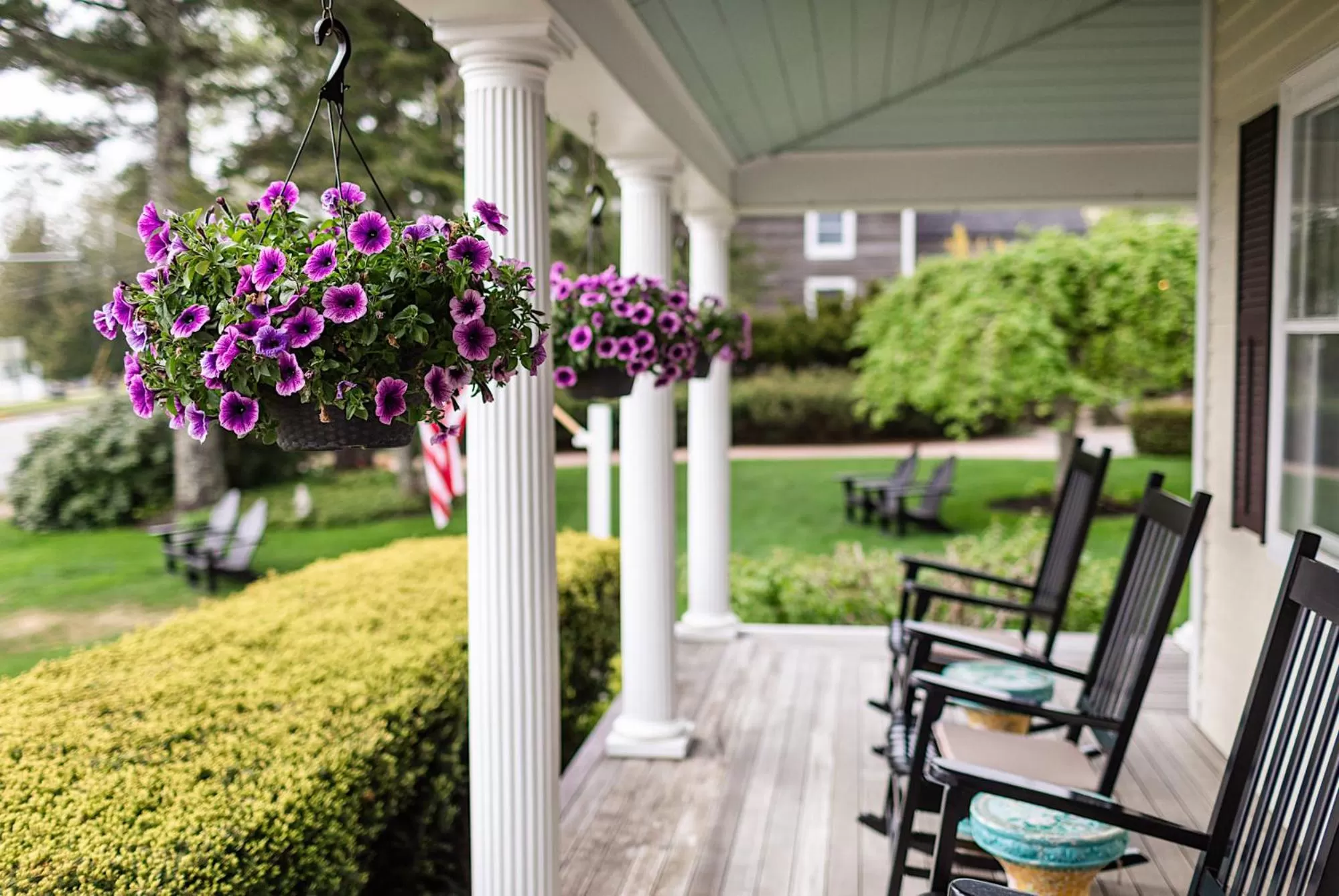 Garden view, Garden in Spouter Inn Bed & Breakfast