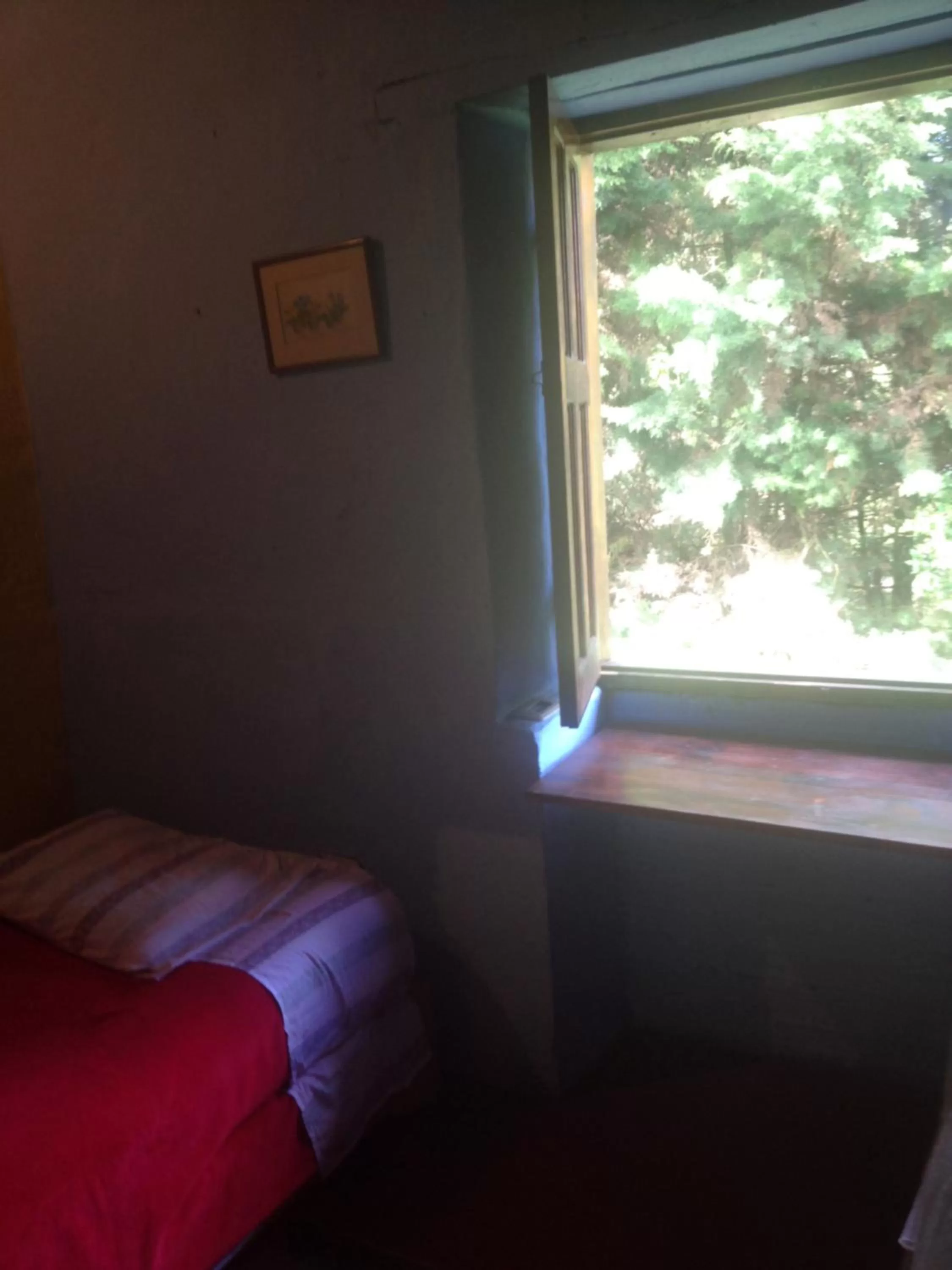 Bed in Casa finca típica the lake hotel