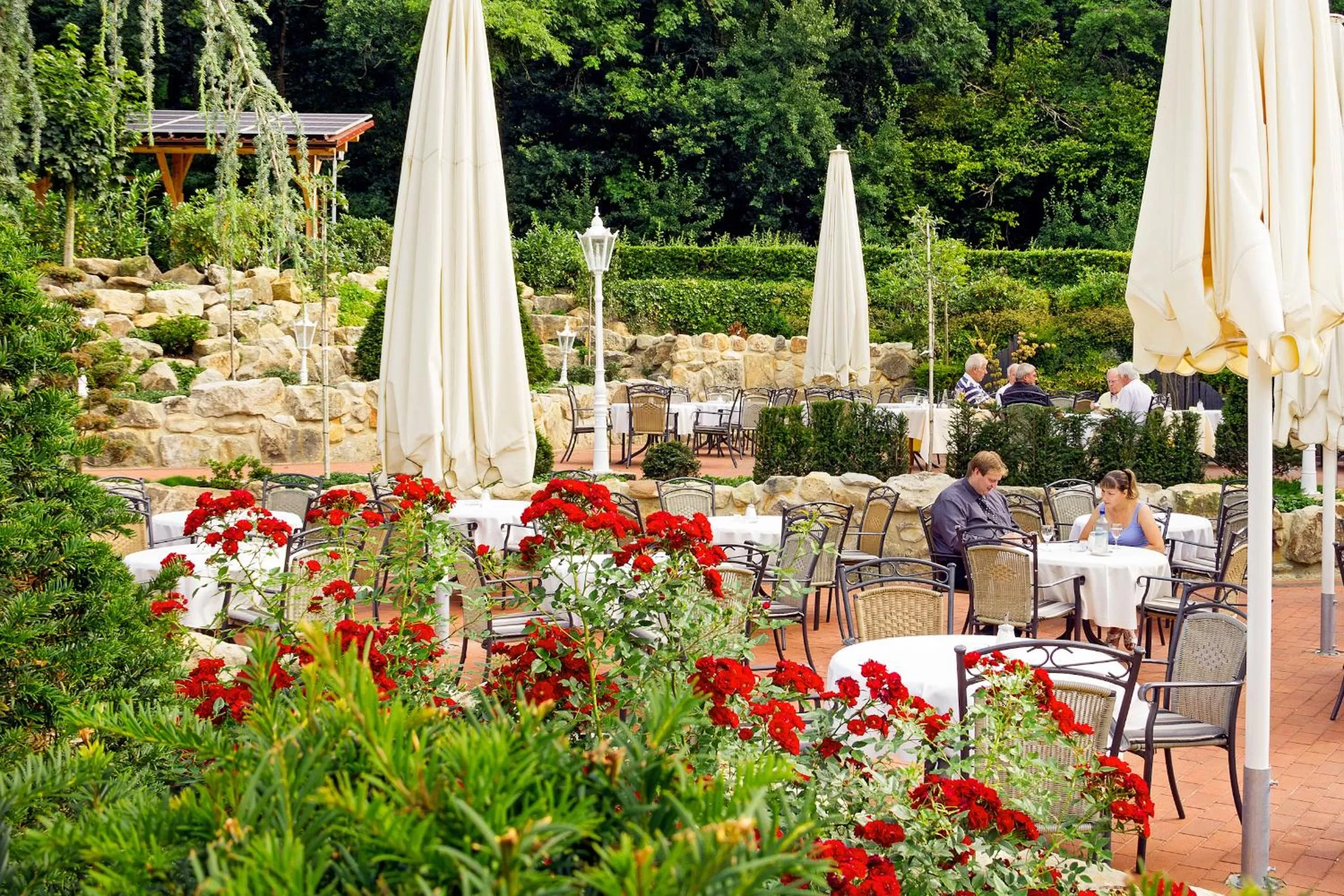 Restaurant/places to eat in Ringhotel Teutoburger Wald