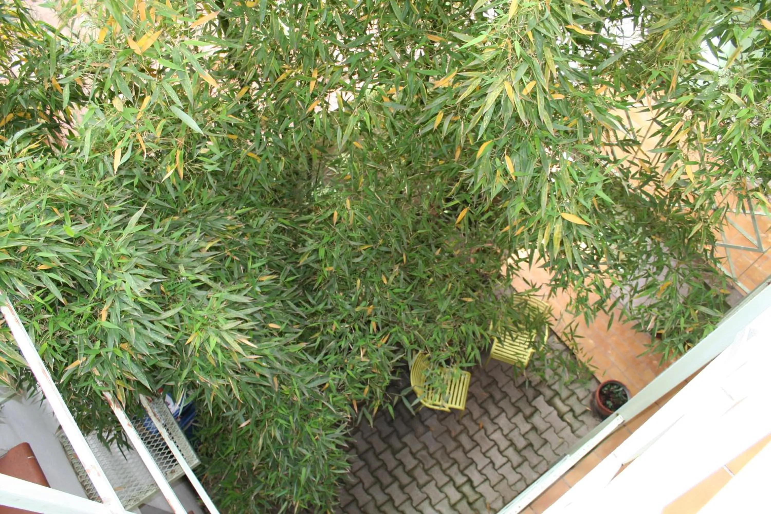 Other in Hôtel La Chartreuse